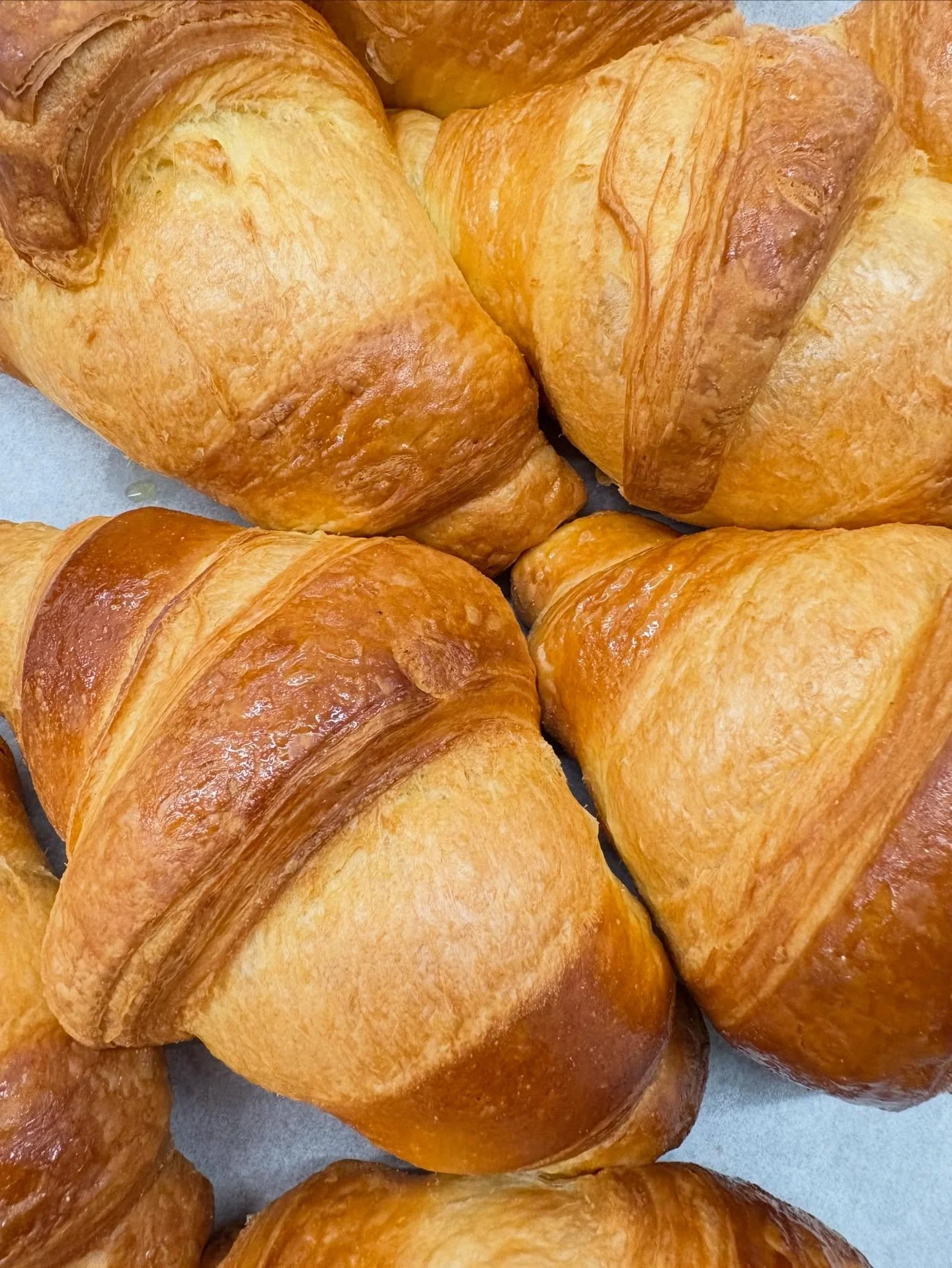 Buongiorno e buon luned&igrave;! 

Qui in caffetteria c&rsquo;&egrave; gi&agrave; profumo di&hellip; 
🥐 Brioches/ krapfen da farcire a piacere con: crema pasticcera, albicocca, cioccolato, pistacchio
🍎 fagottino di mele e albicocca
🍞 fagotto con c