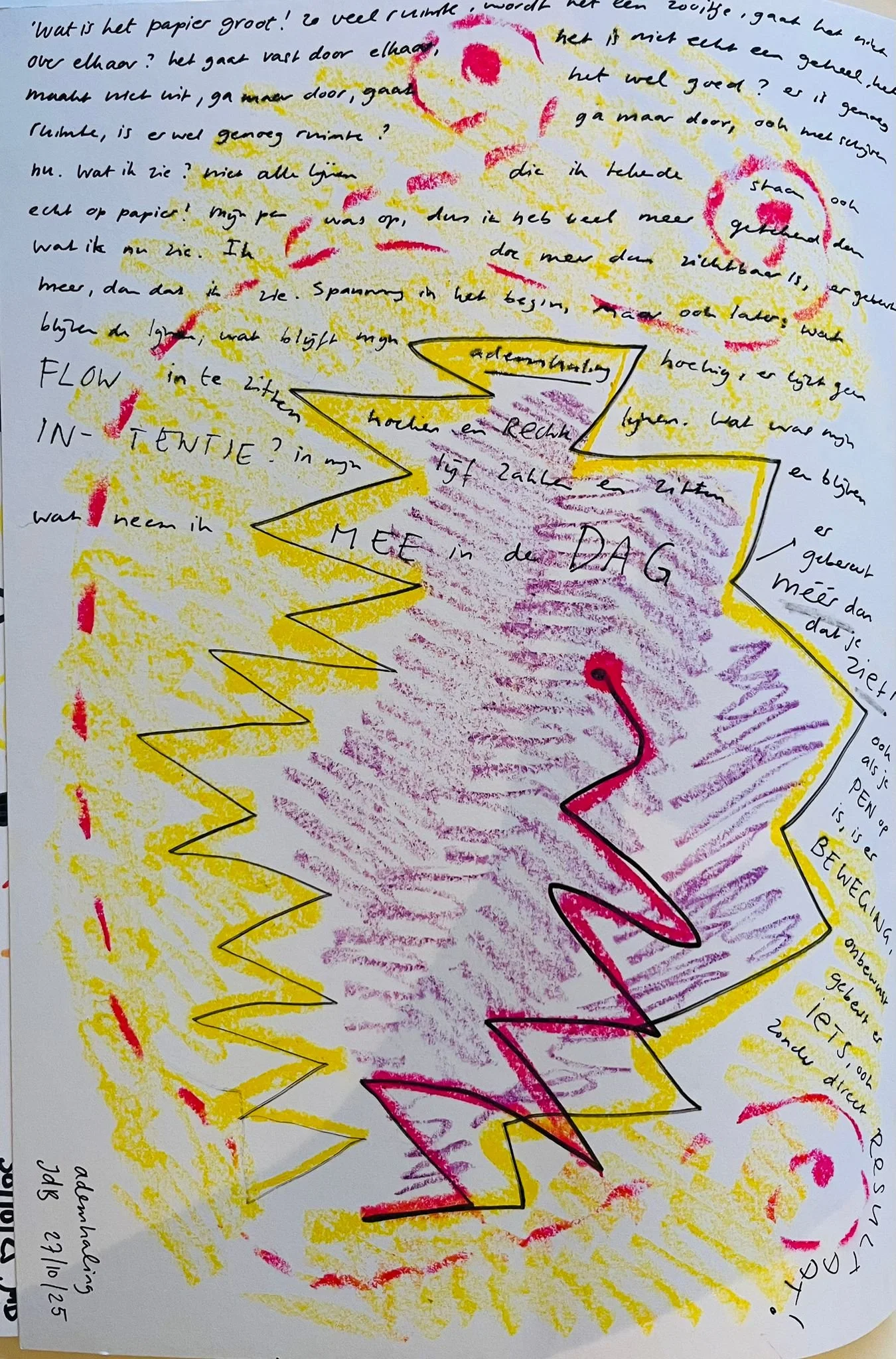 WhatsApp Image 2025-11-12 at 16.57.40.jpeg