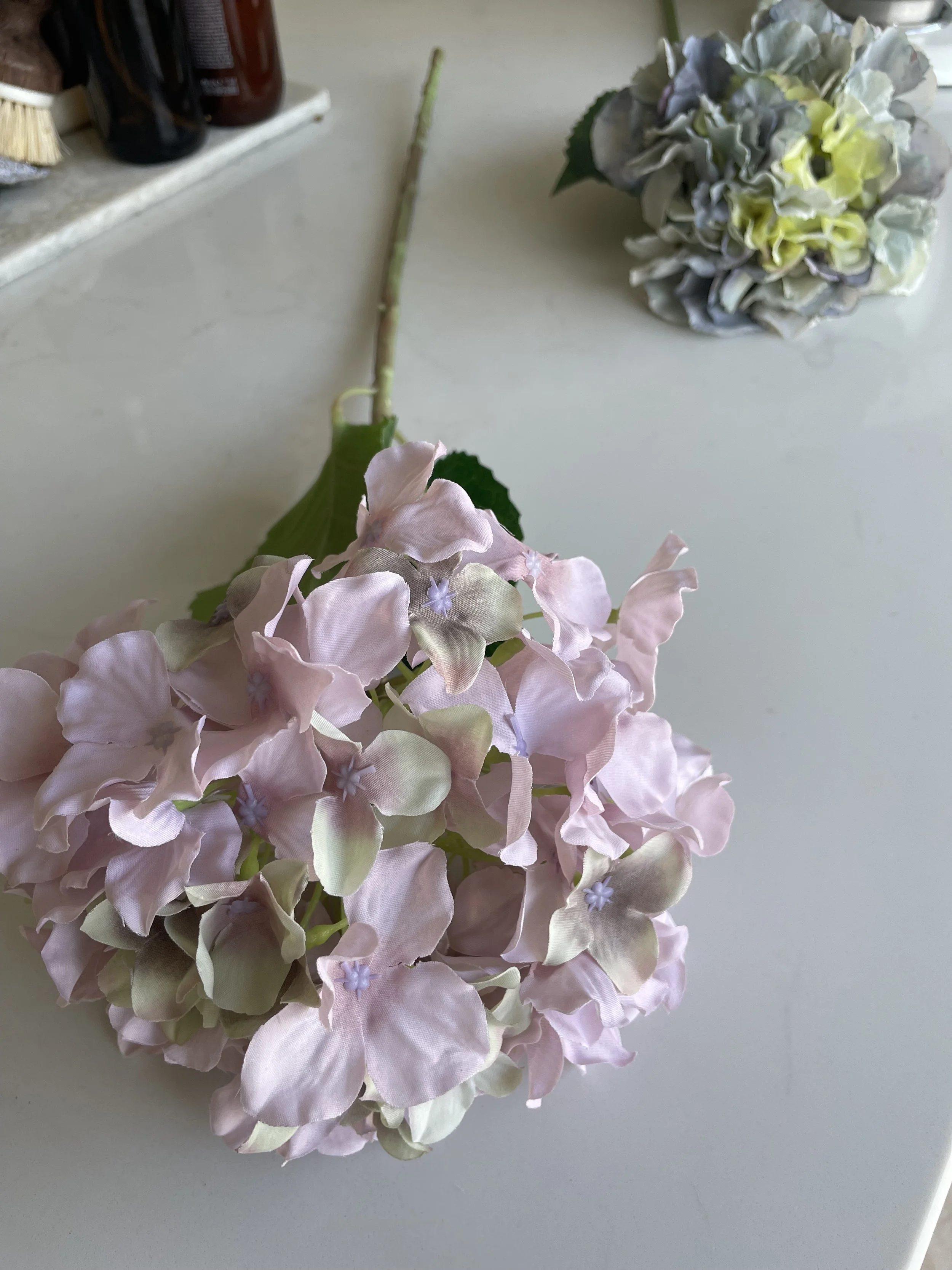 IMG_8954.jpeg