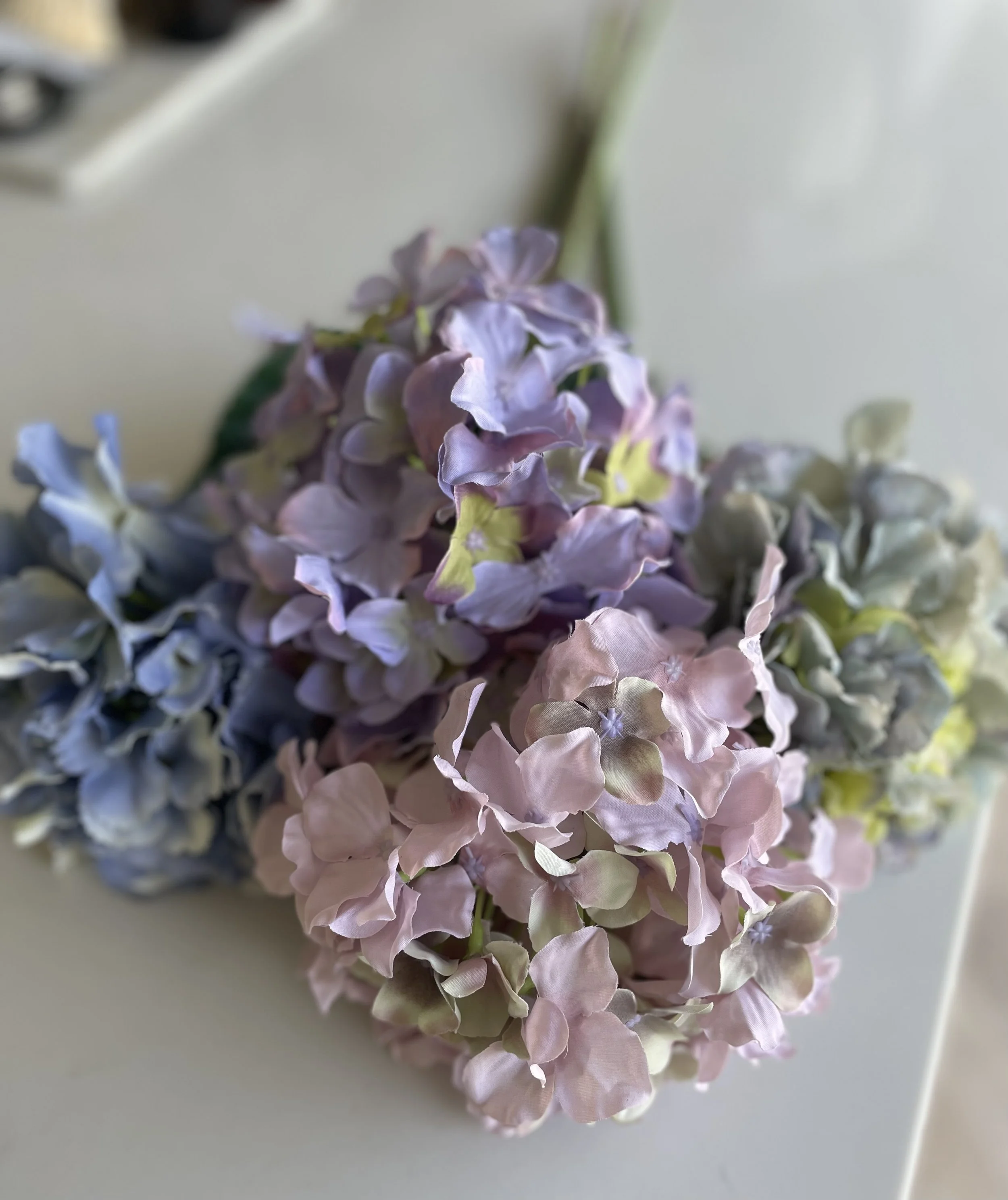 IMG_8964.jpeg