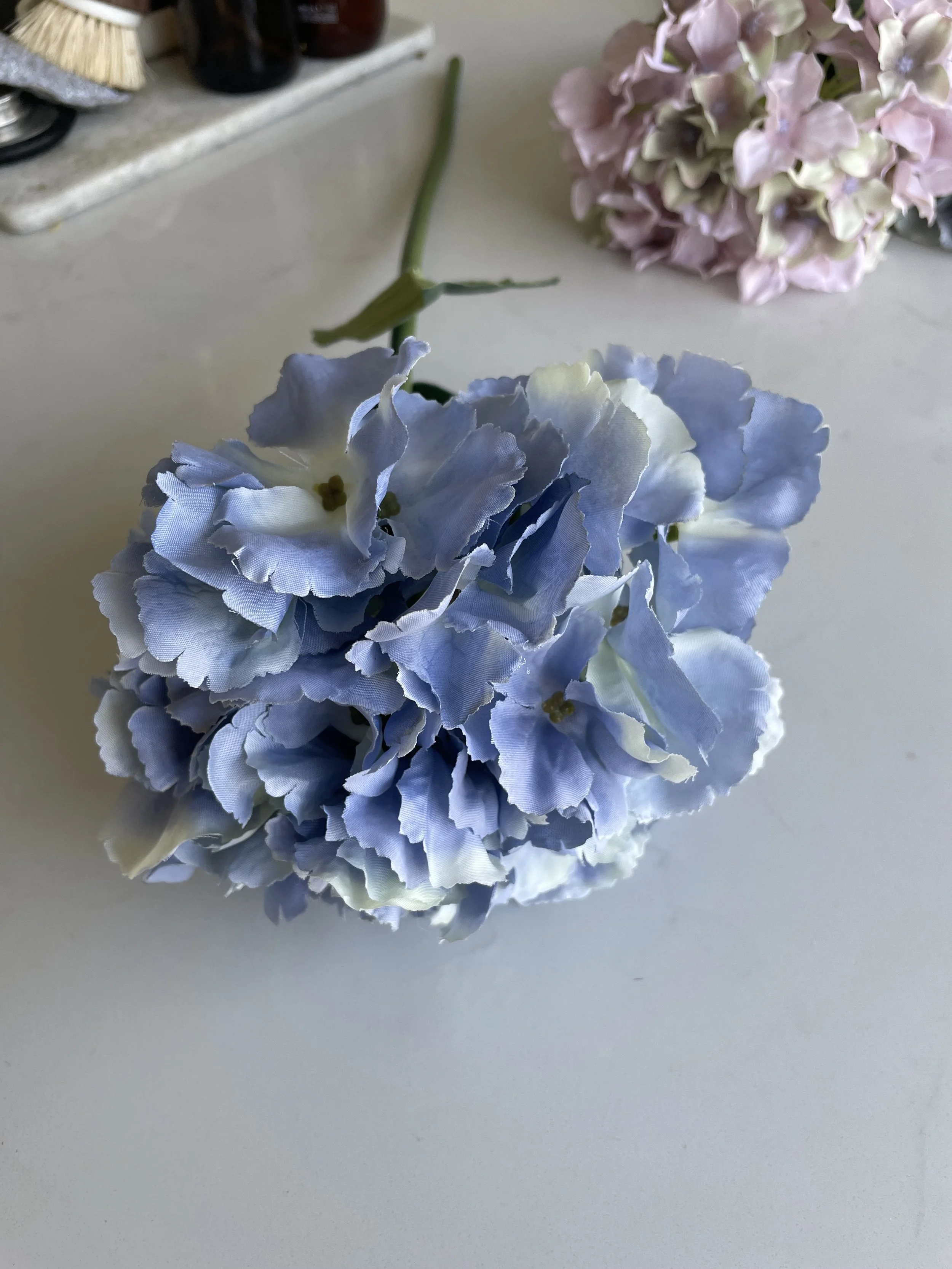 IMG_8956.jpeg