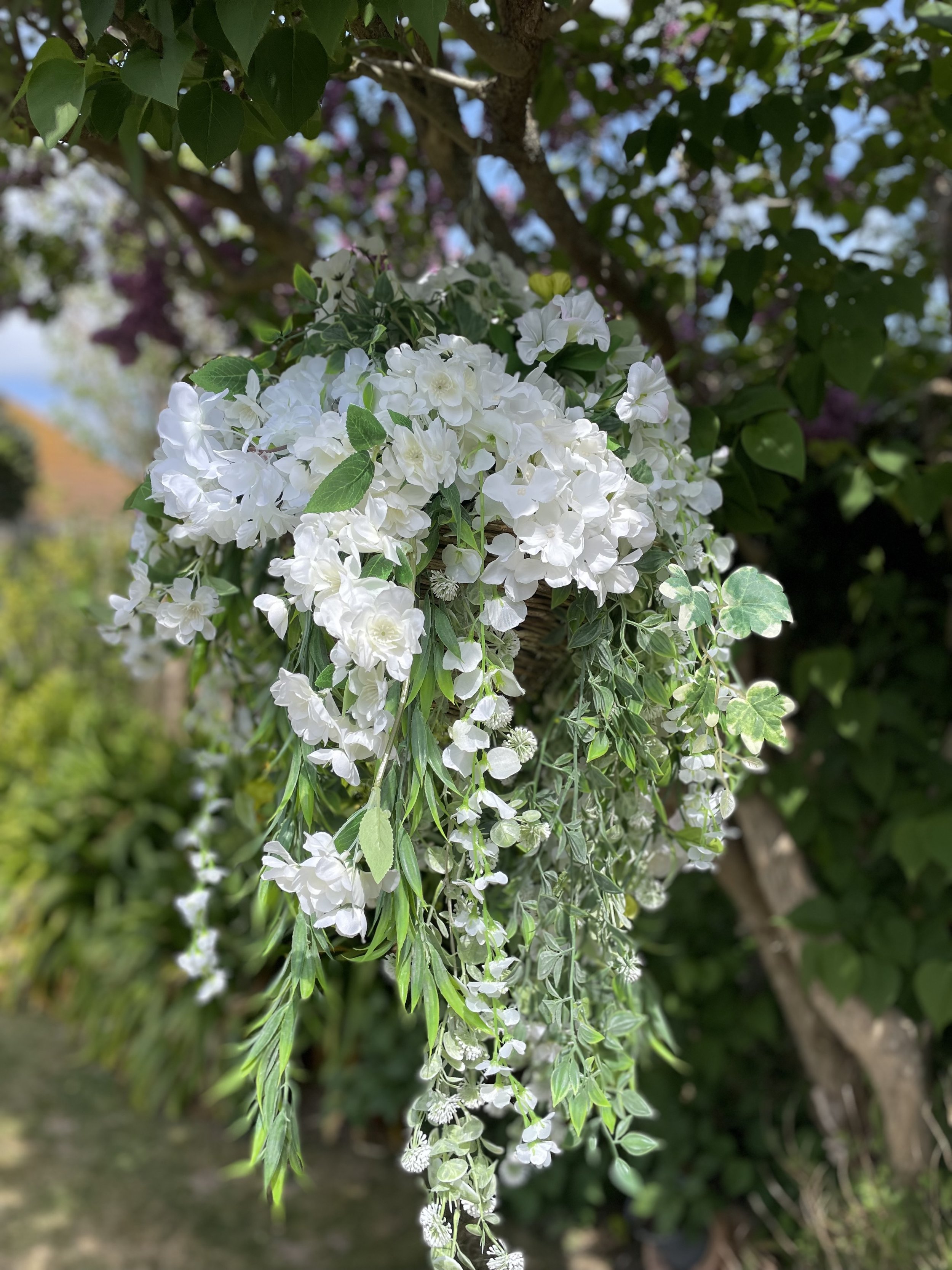 IMG_2034.jpeg