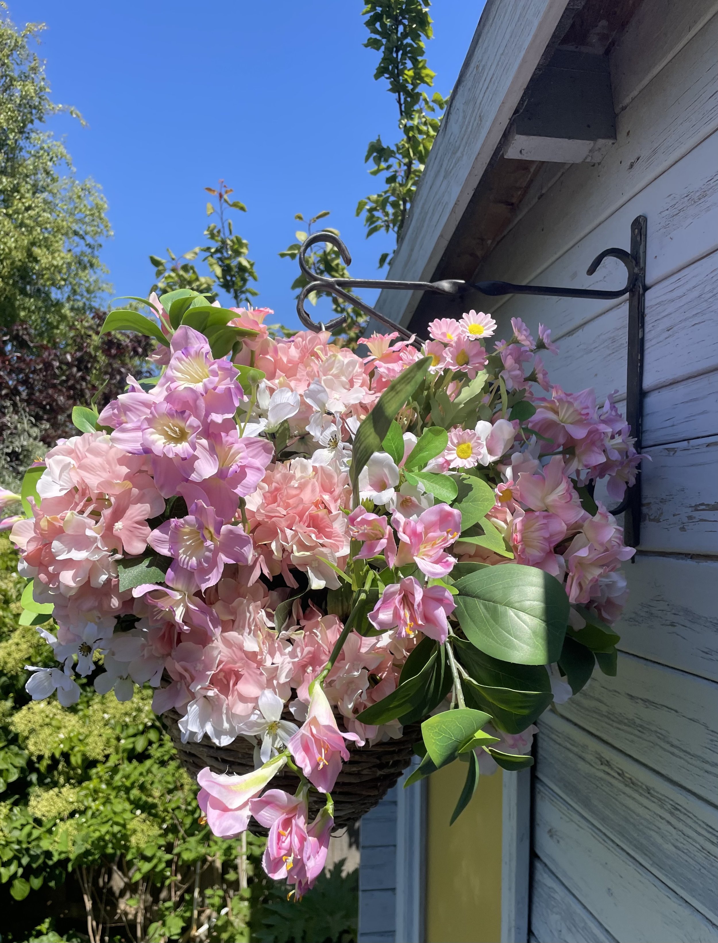 IMG_2304.jpeg