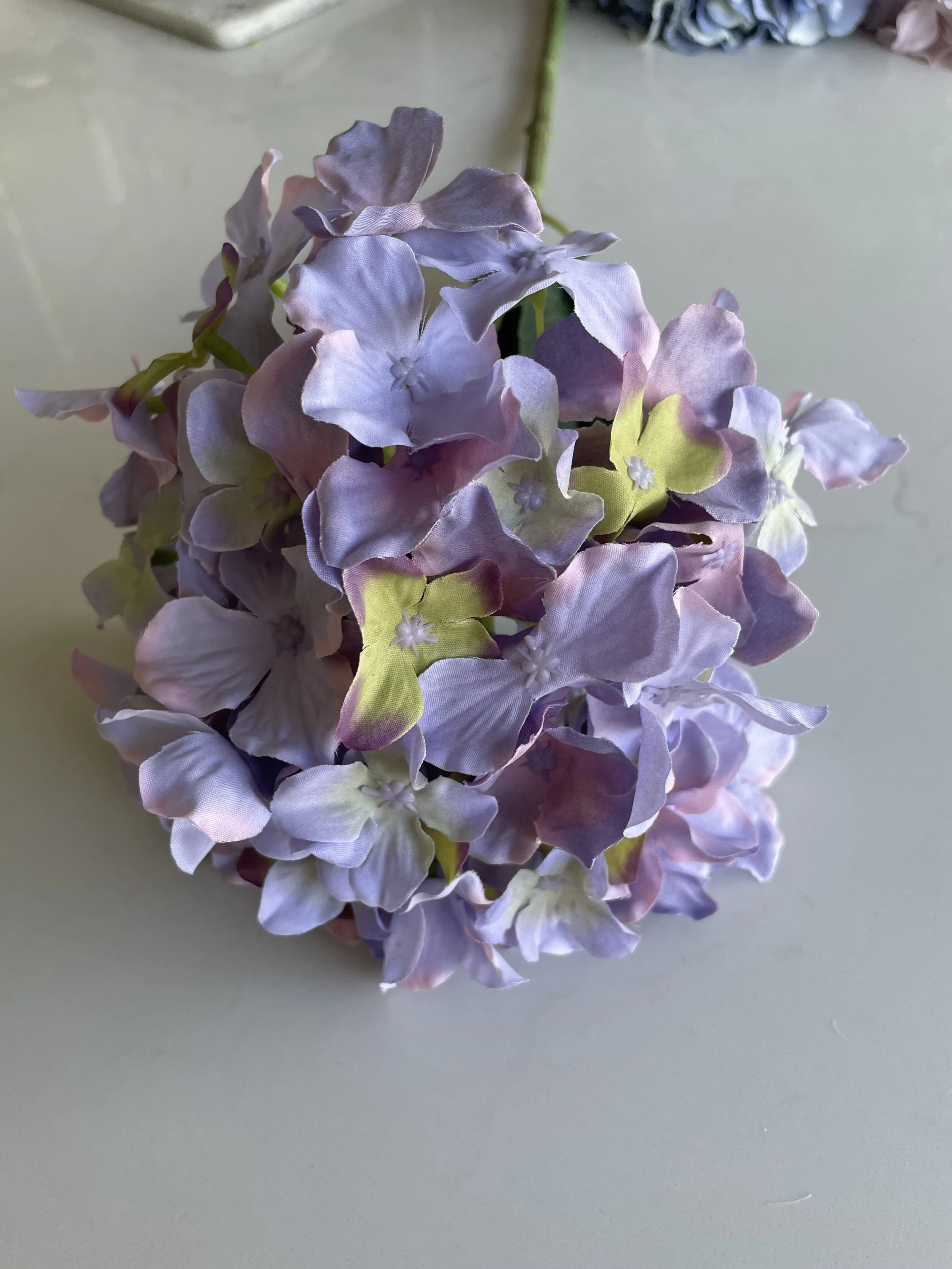 IMG_8959.jpeg
