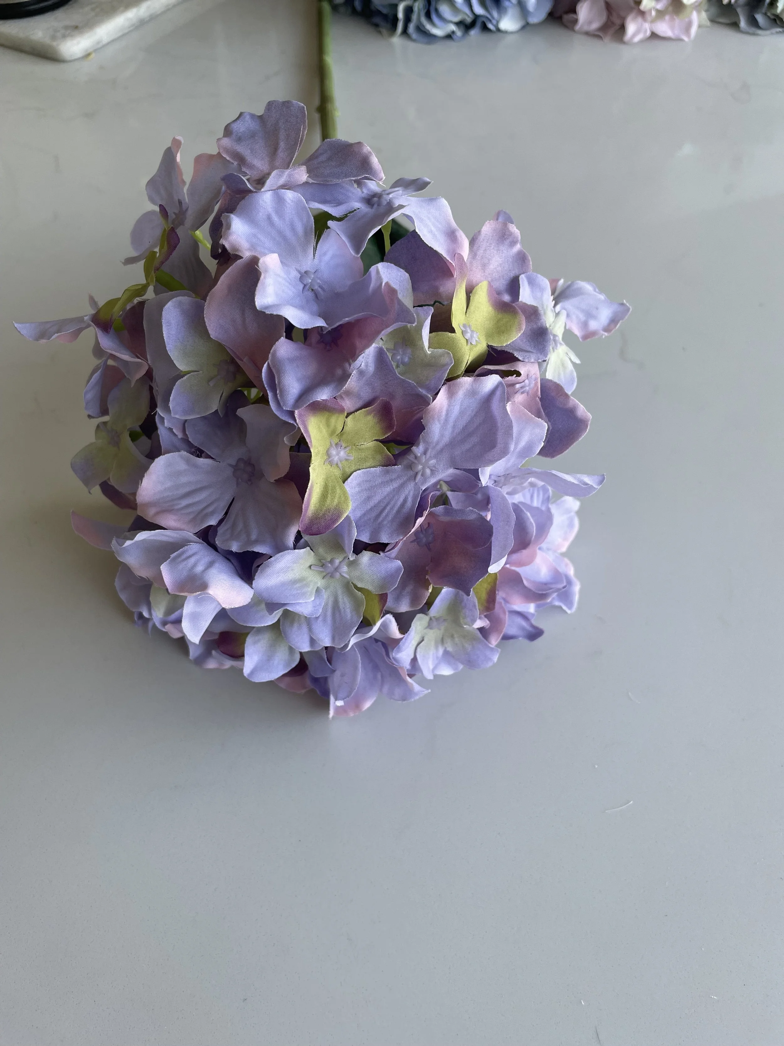 IMG_8961.jpeg