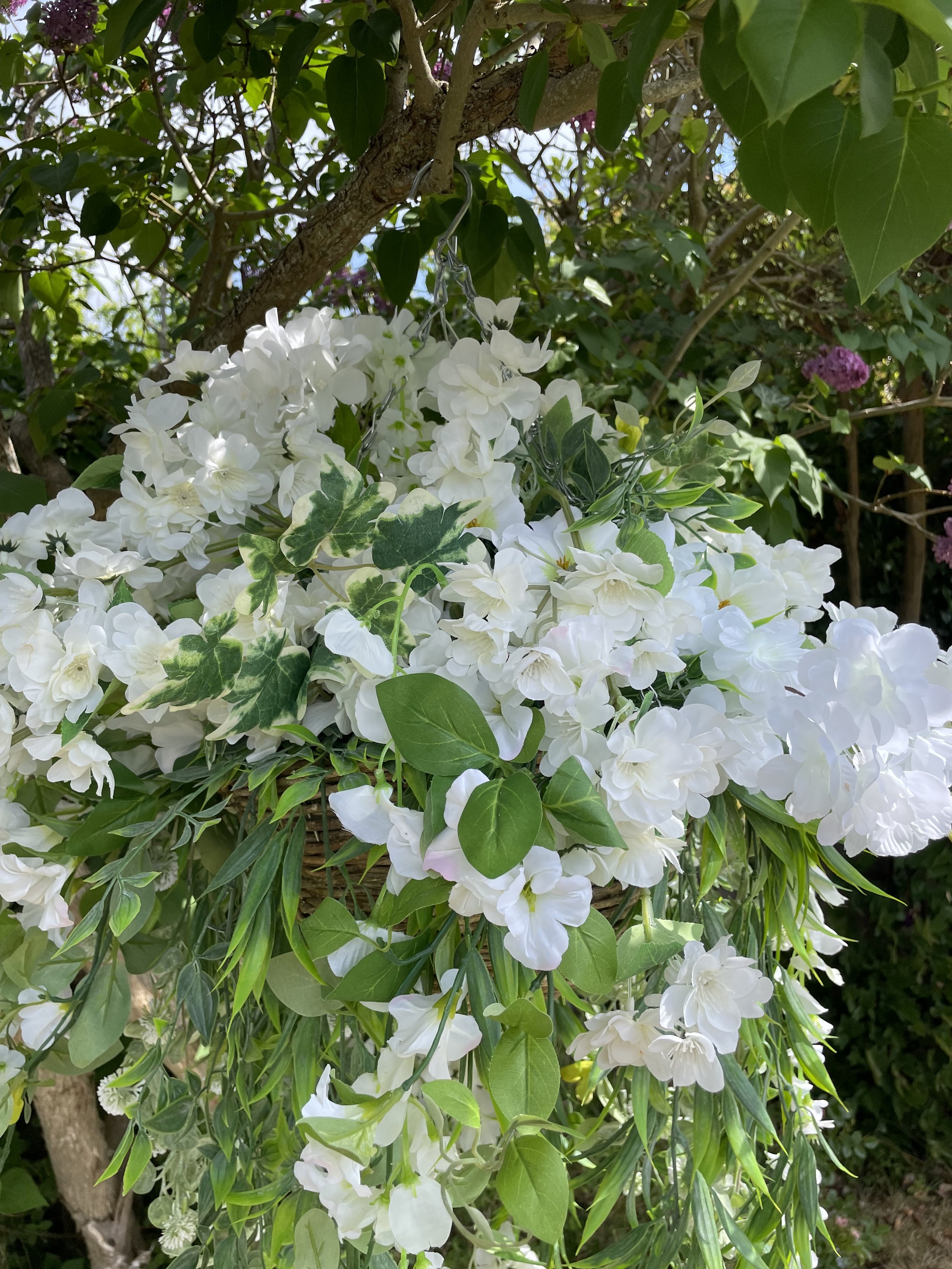 IMG_2040.jpeg
