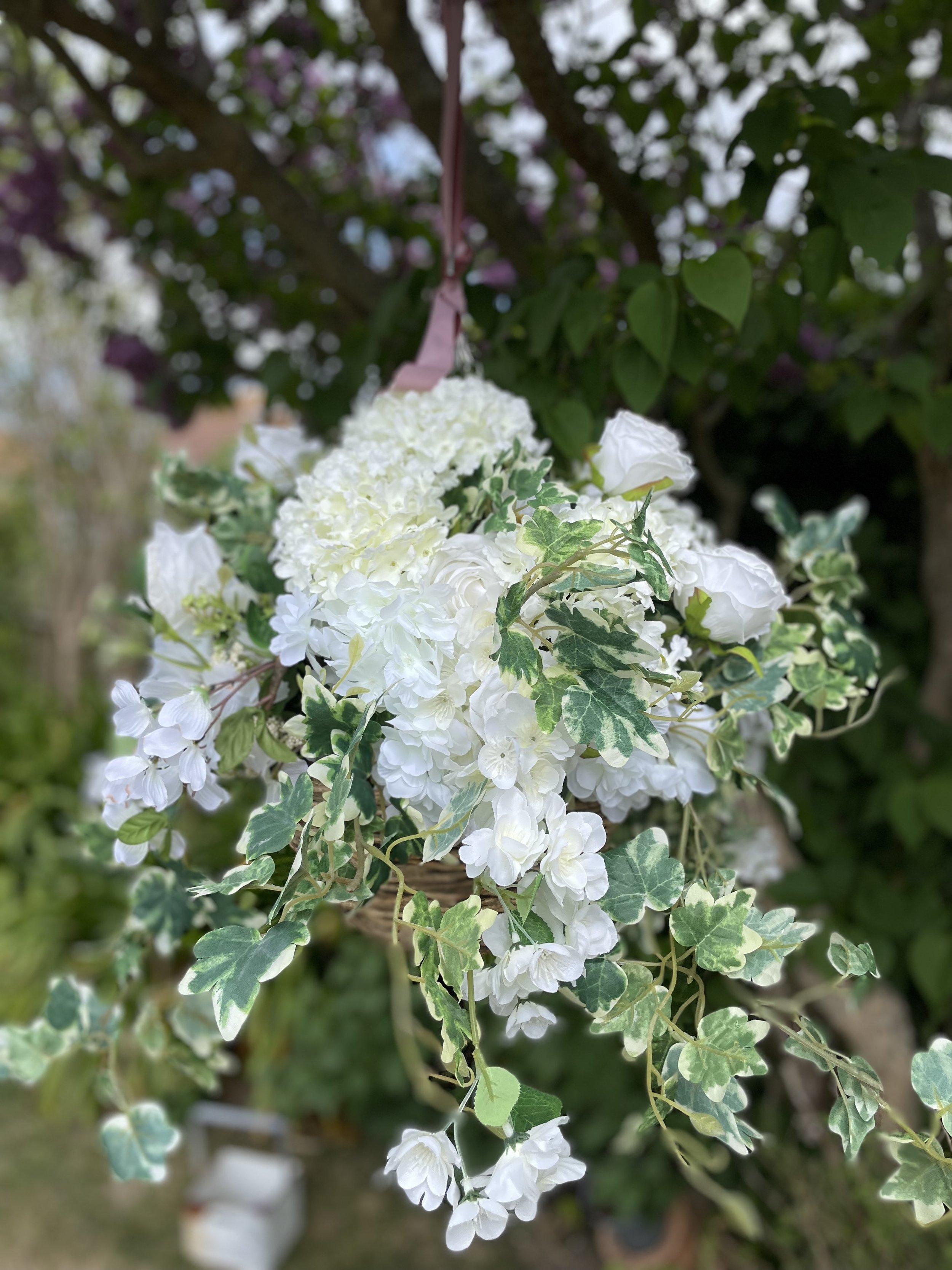 IMG_2066.jpeg
