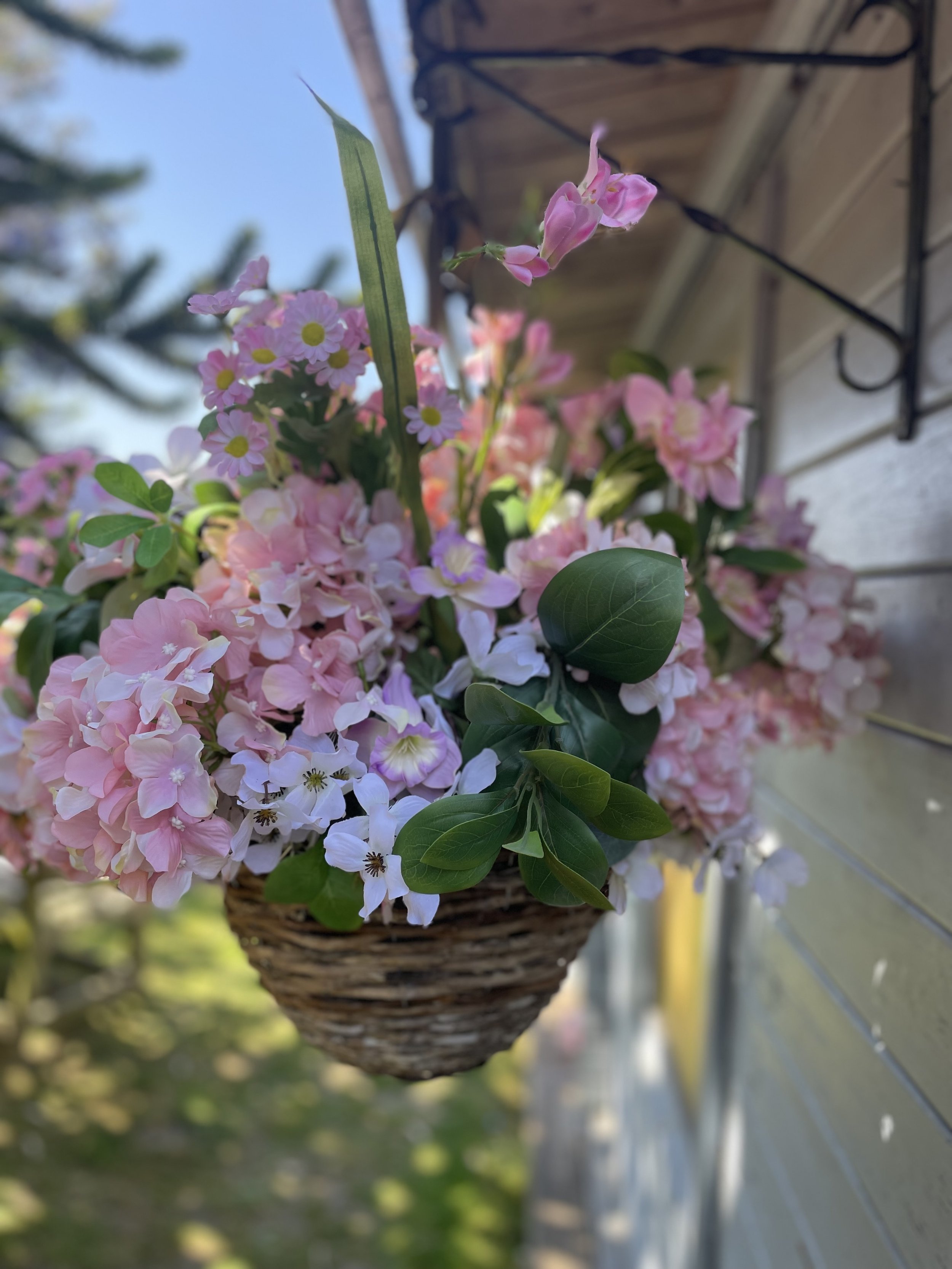 IMG_2305.jpeg