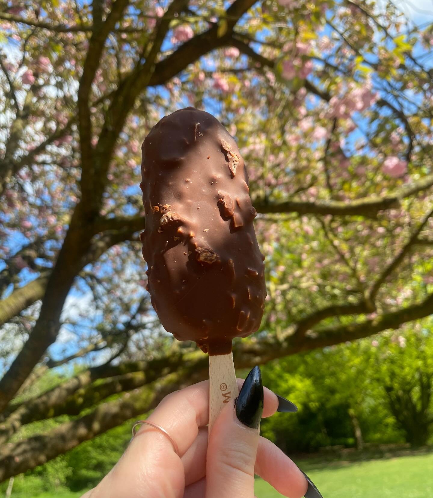 We carry a couple of vegan ice creams on our vans, one being the Vegan Almond Magnum!!
It’s absolutely GORGEOUS ππ«Άπ»π¦
#lewisbrosicecream #icecream #icecreamlover #flake #icecreamvan #sweet #sweettreats #vanlife #dessert #local #warrington