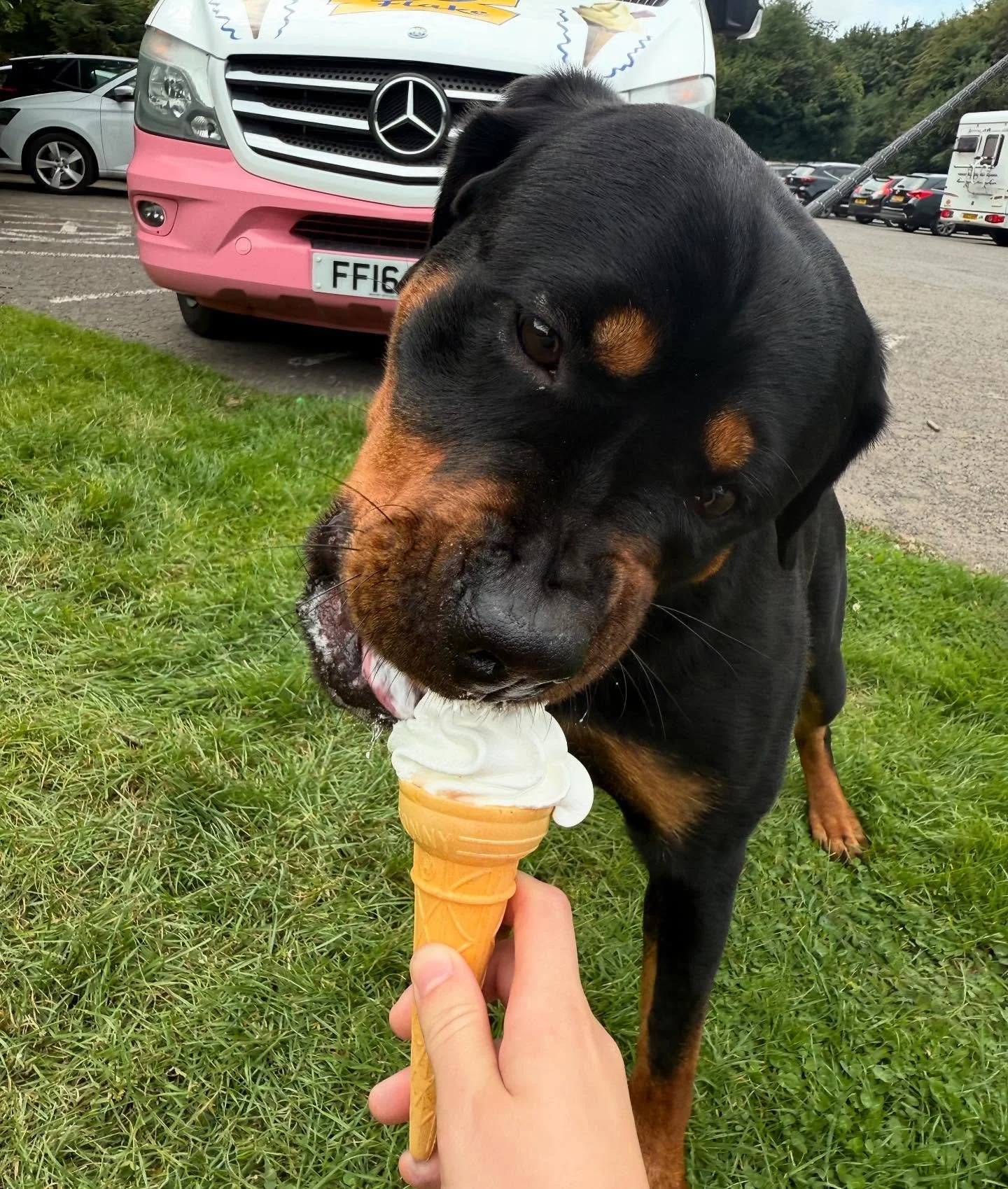 Jana is here to remind you to treat your furry family too!! 🐶🍦

Our vans have doggy ice creams specially designed for dogs&hellip; unless they prefer our soft serve instead!! 

#lewisbrosicecream #icecream #icecreamlover #flake #icecreamvan #sweet 