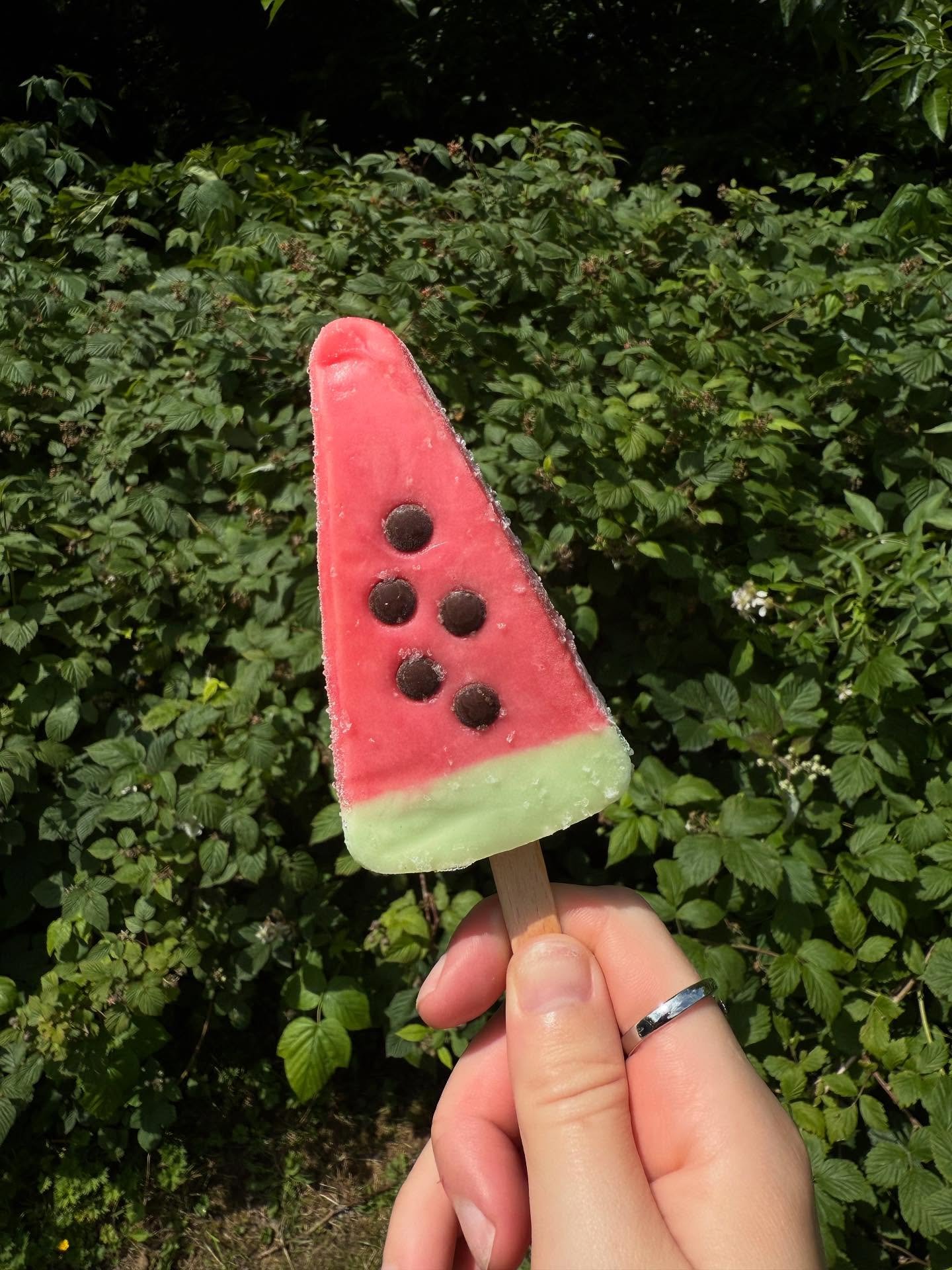 School holidays are here!! 🎉👏🏼
Who&rsquo;s excited because we know we are!! 

We are at all of our usual spots serving delicious soft serve ice cream, refreshing cold drinks and some amazing ice lollies 🍦🥤🍭

#lewisbrosicecream #icecream #icecre