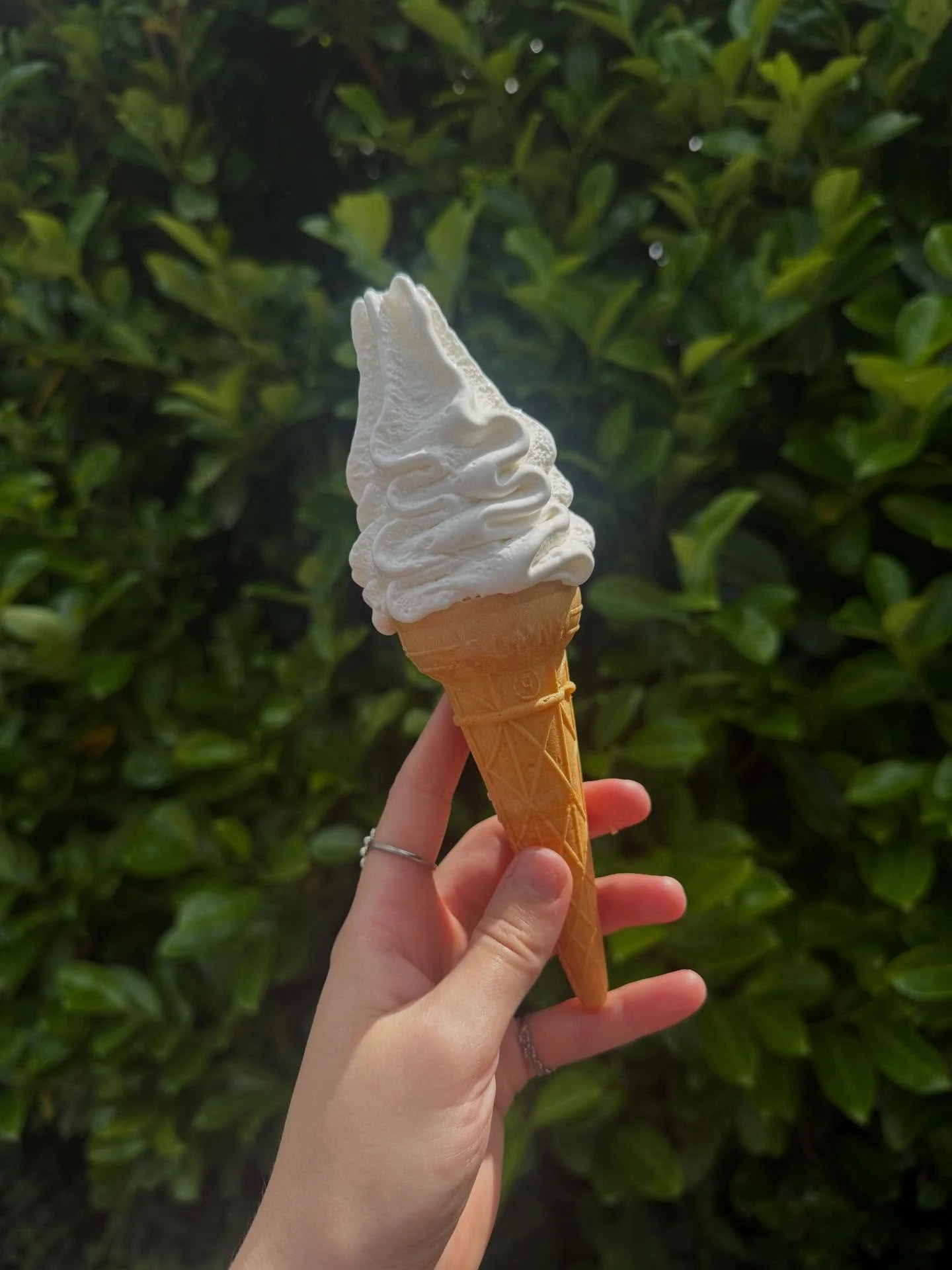 It&rsquo;s bank holiday weekend!! 🎉

That can only mean one thing&hellip; ICE CREAM 🍦🍦

There&rsquo;s absolutely nothing better than a classic cone with our signature soft serve 🥰🤤

#lewisbrosicecream #icecream #icecreamlover #flake #icecreamvan