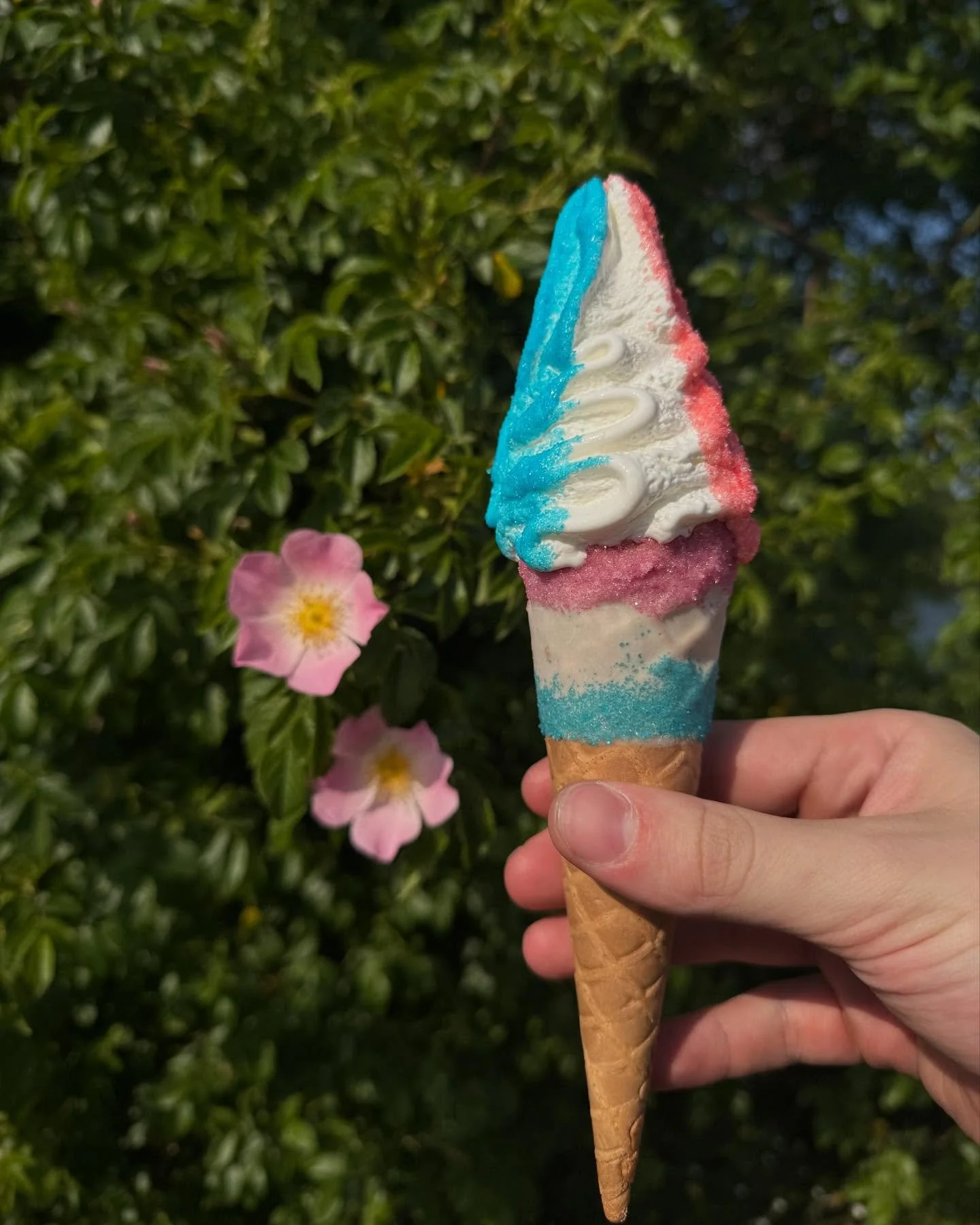 How pretty does this sherbet waffle look next to the flowers?? 😍🌸🍦

#lewisbrosicecream #icecream #icecreamlover #flake #icecreamvan #sweet #sweettreats #vanlife #dessert #local #warrington #manchester #manchesterfood #cheshire #warringtonbusiness 