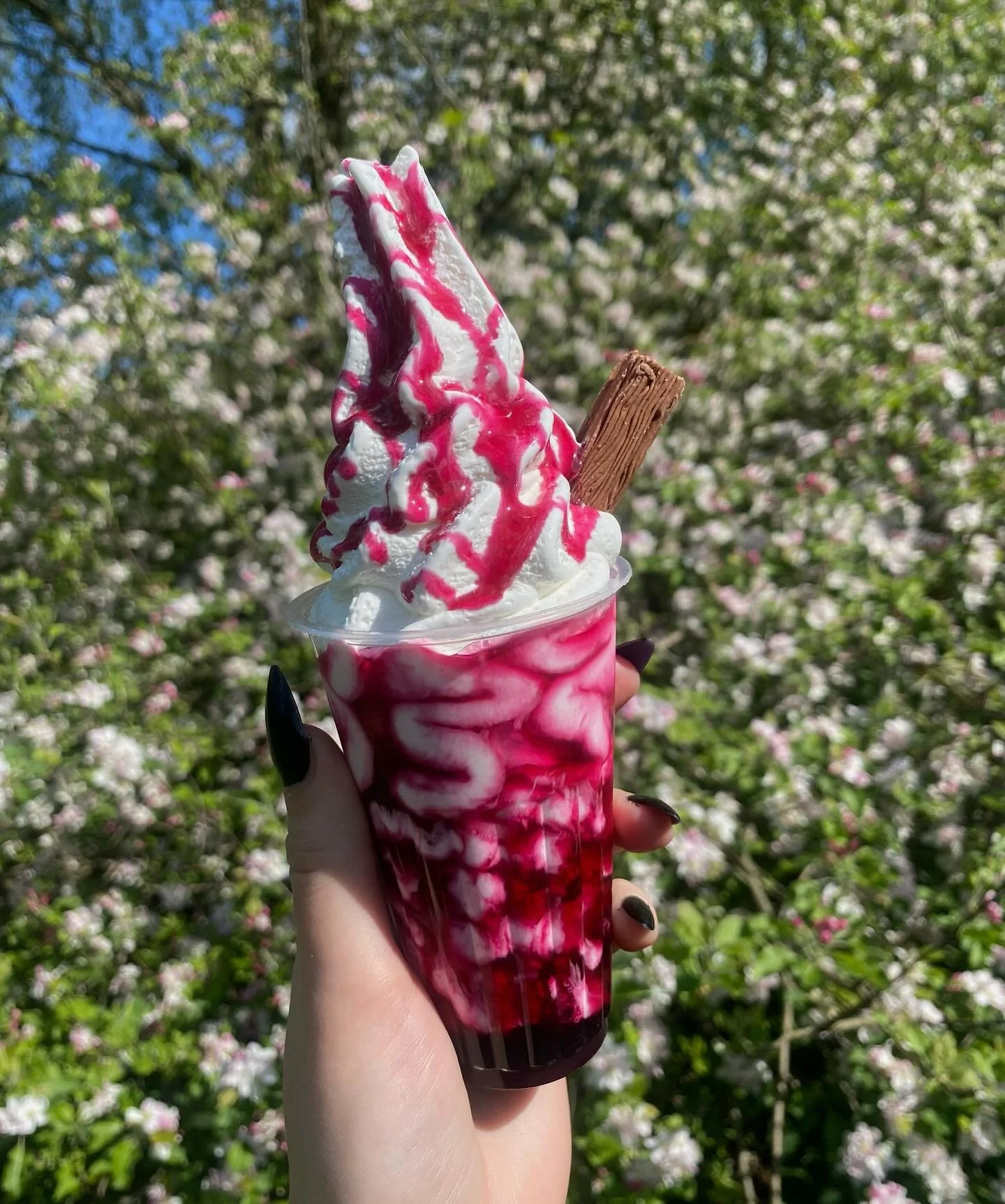 Spring is in full bloom, but what&rsquo;s prettier?? The blossoms or the sundae?? 🍦🌸

#lewisbrosicecream #icecream #icecreamlover #flake #icecreamvan #sweet #sweettreats #vanlife #dessert #local #warrington #manchester #manchesterfood #cheshire #wa