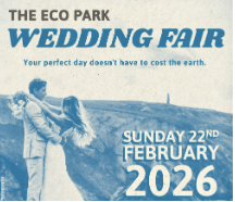 From Wedding Nerves to Fearless New Beginnings