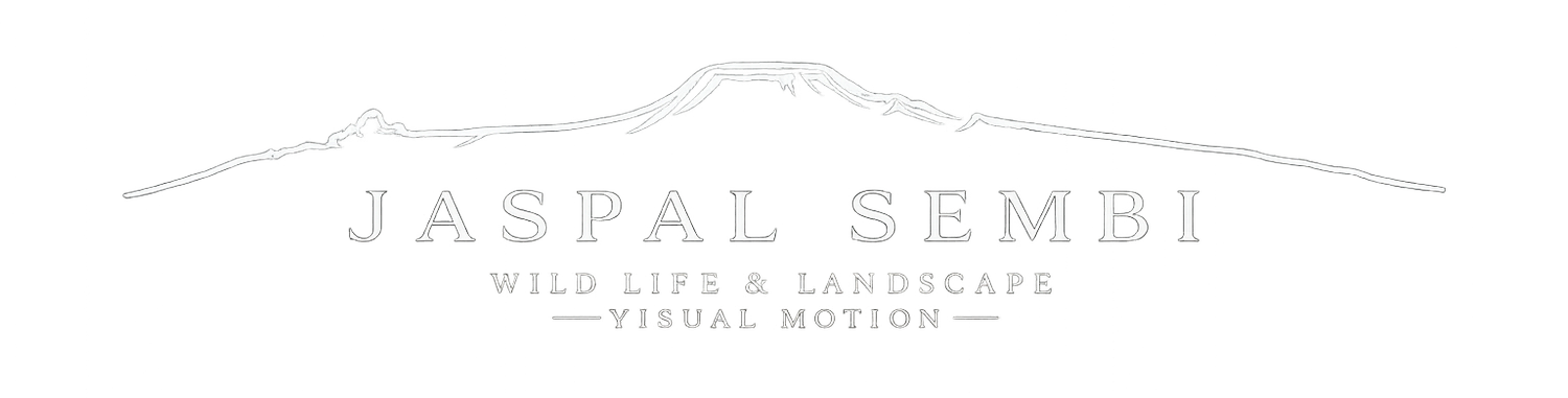 Jaspal Sembi