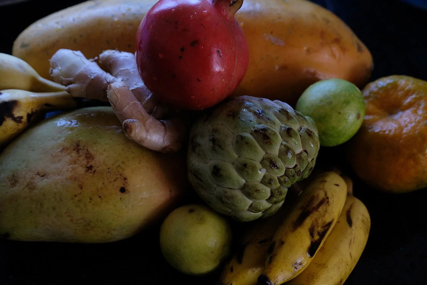 fruits.jpg