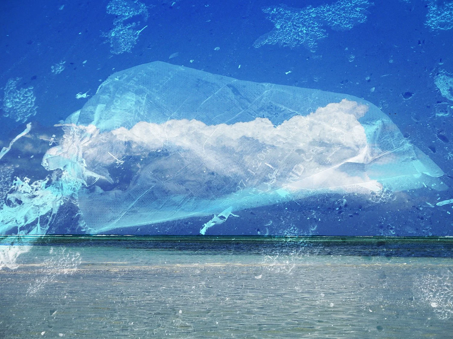 SOS NO PLASTIC 2 - copie.jpeg