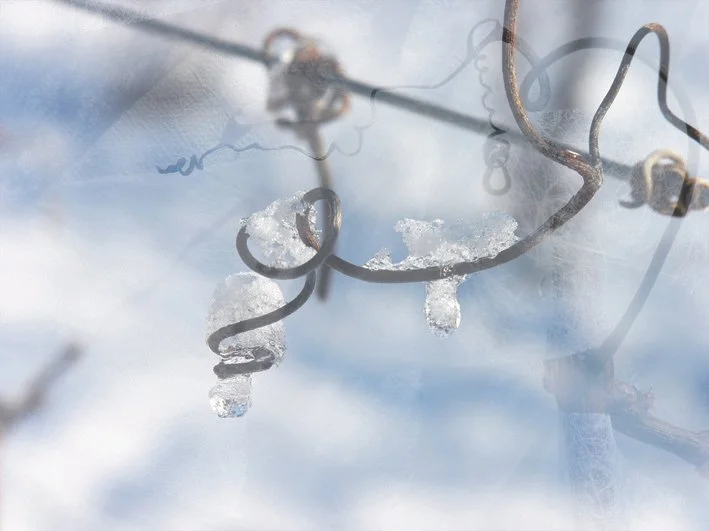 Adobe Photoshop PDF (2) - copie.jpeg