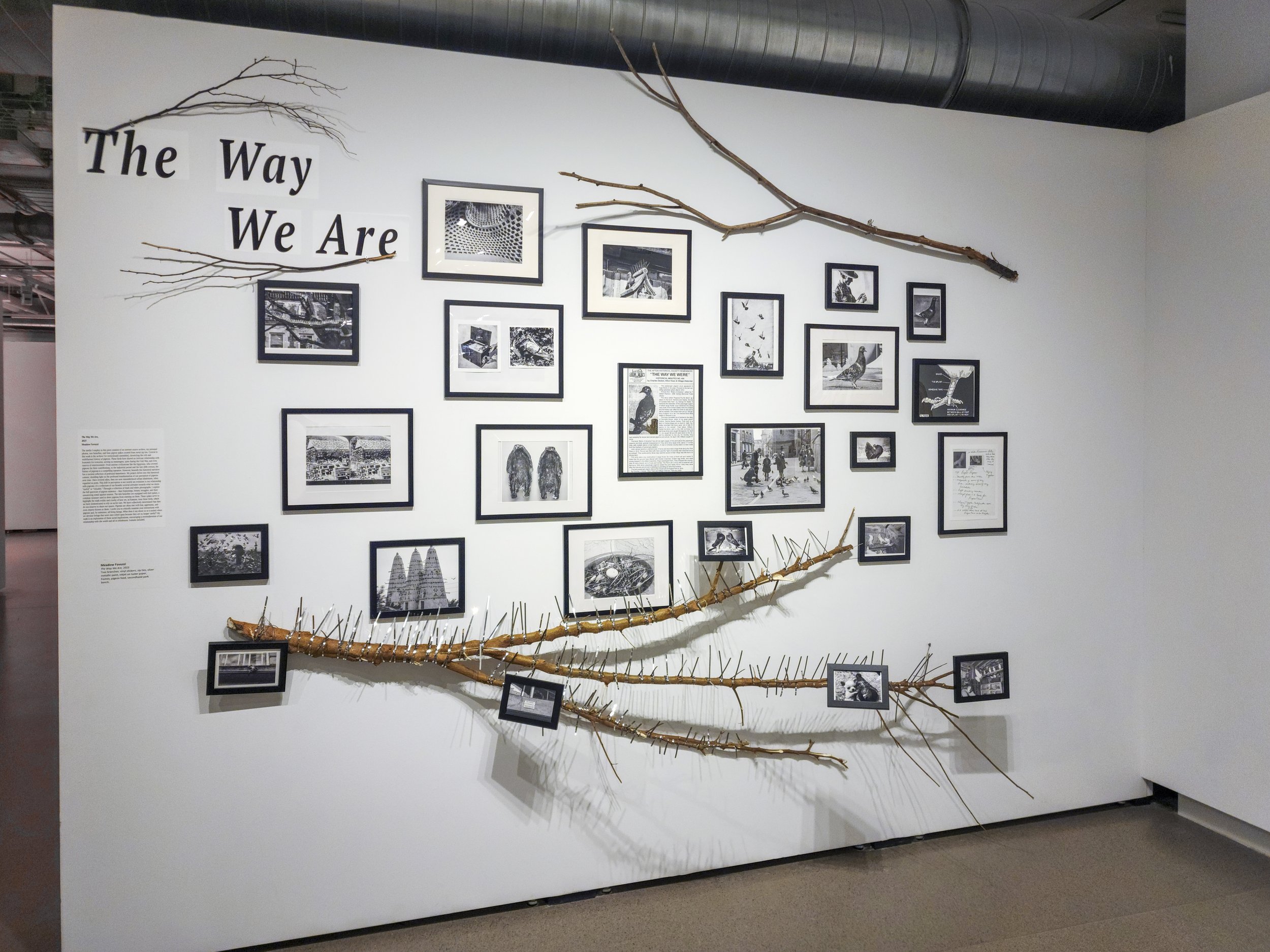 Full shot of installation