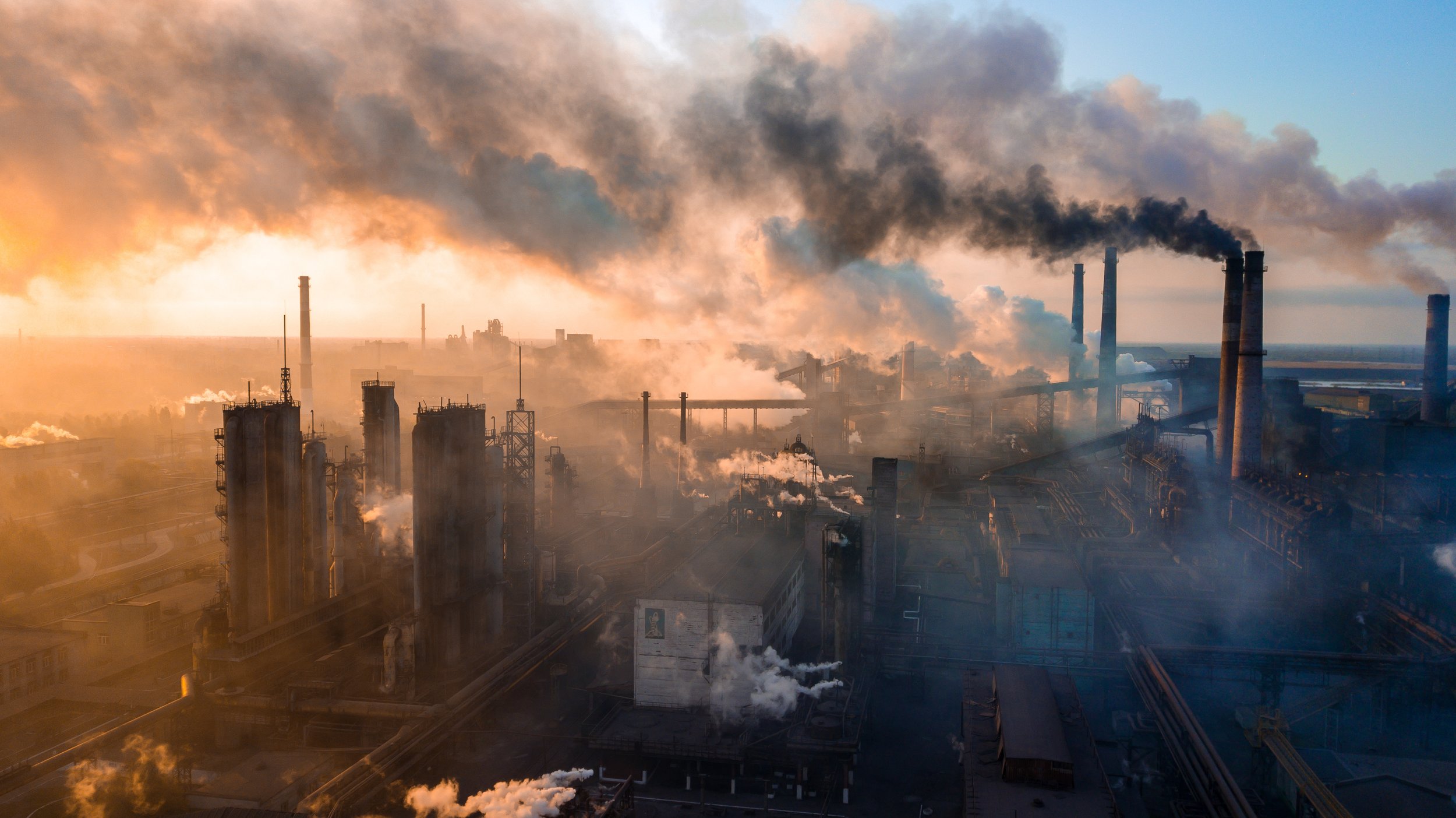 How Biomass Gasification Can Help Companies Reduce Pollution
