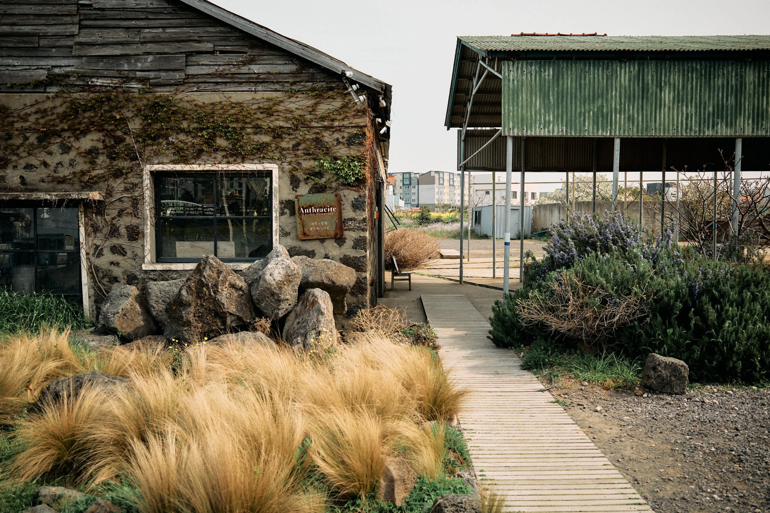 SOUTH KOREA 2023 11.jpg