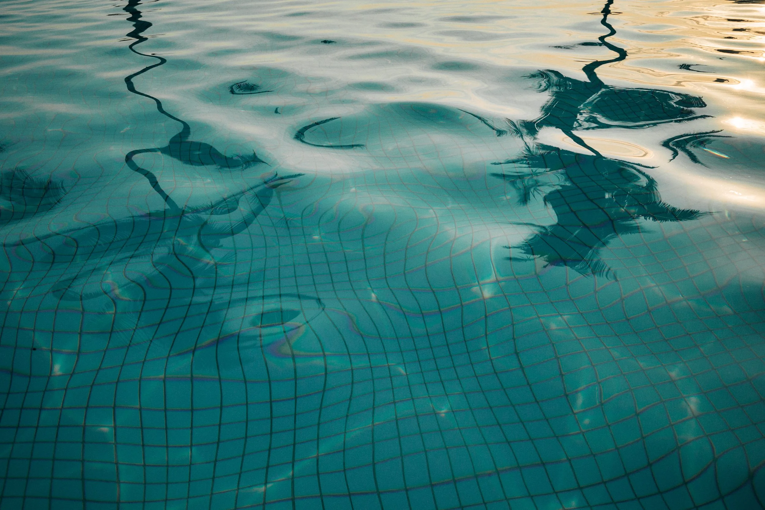 Reflection of palm trees and a cloudy sky on the surface of a swimming pool with a tiled bottom.
