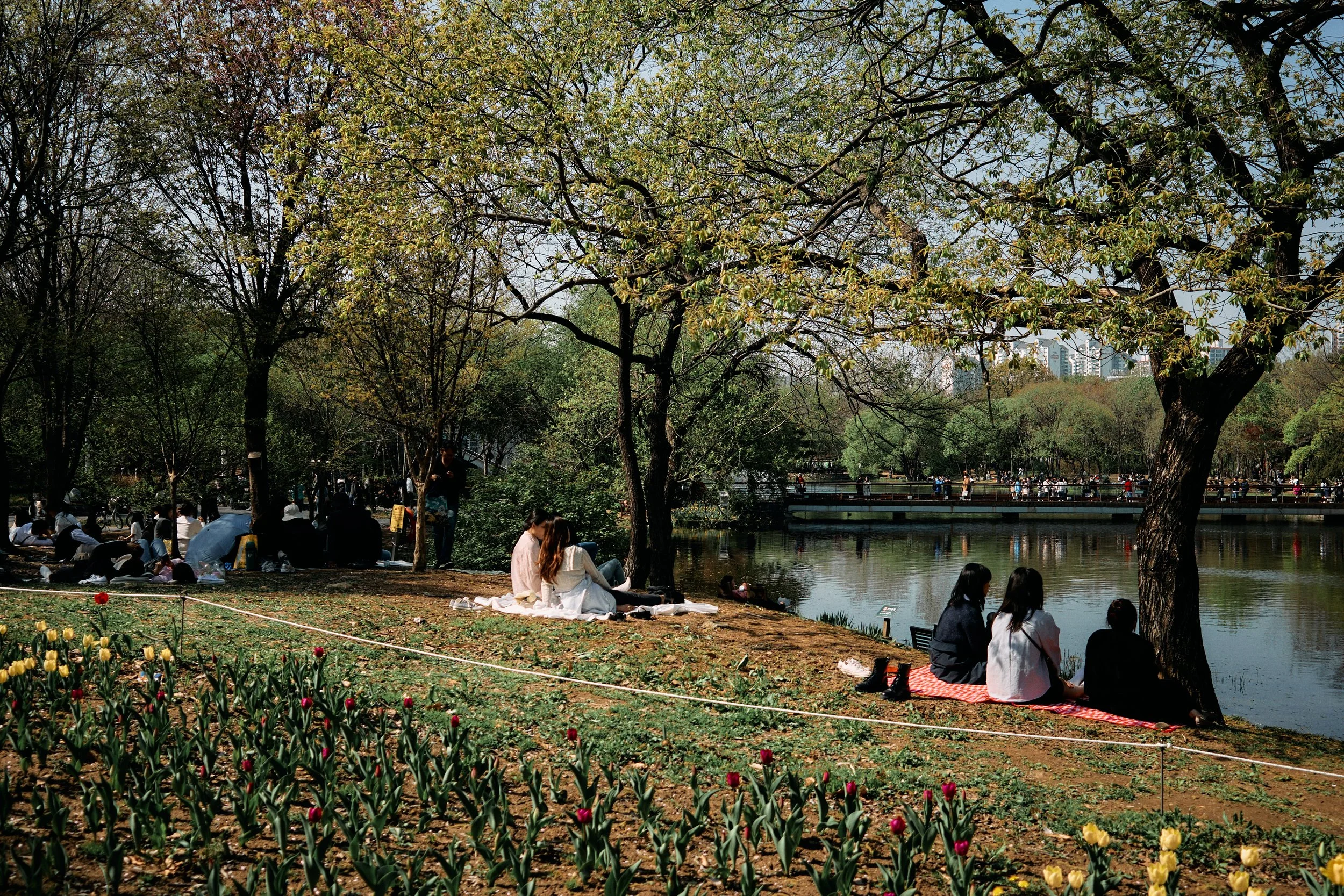 SOUTH KOREA 2023 140.jpg