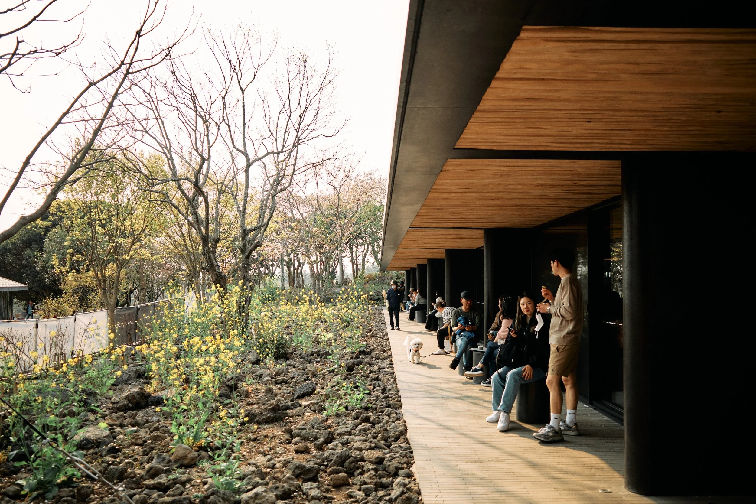 SOUTH KOREA 2023 42.jpg