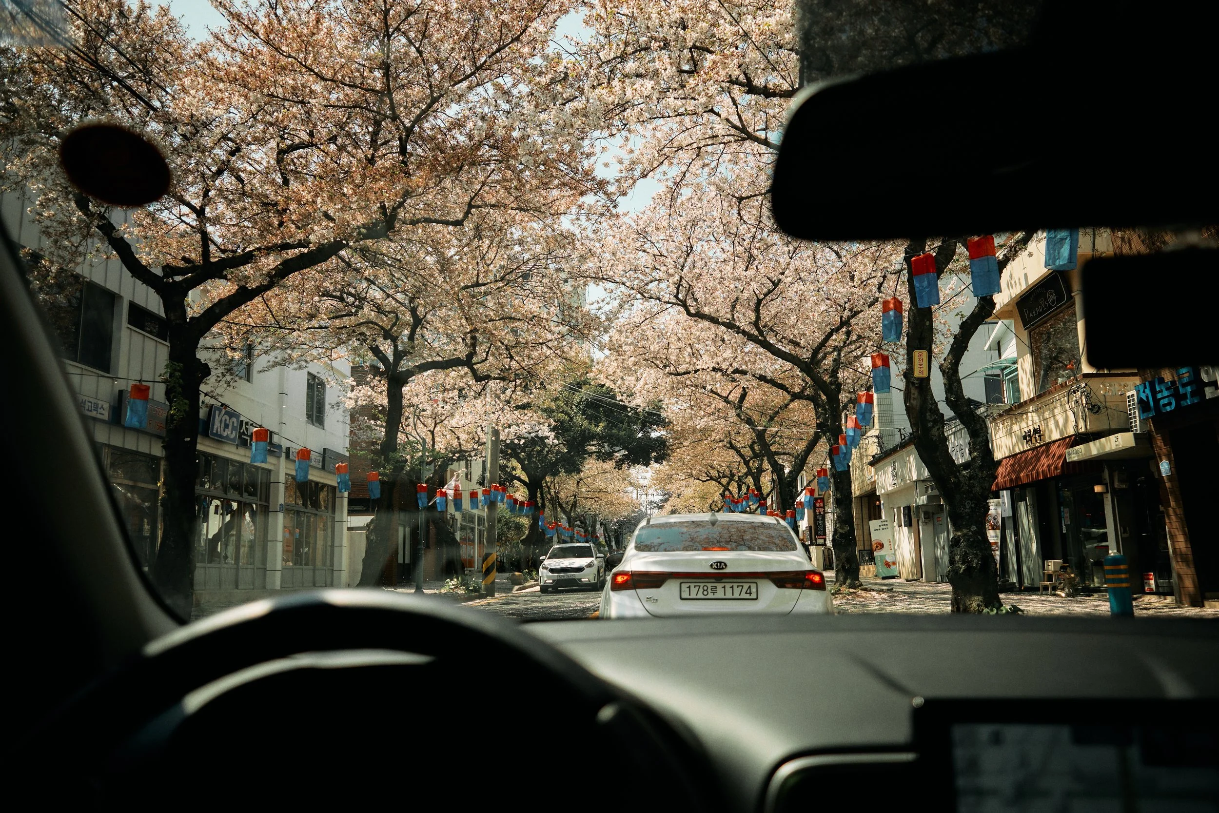 SOUTH KOREA 2023 58.jpg