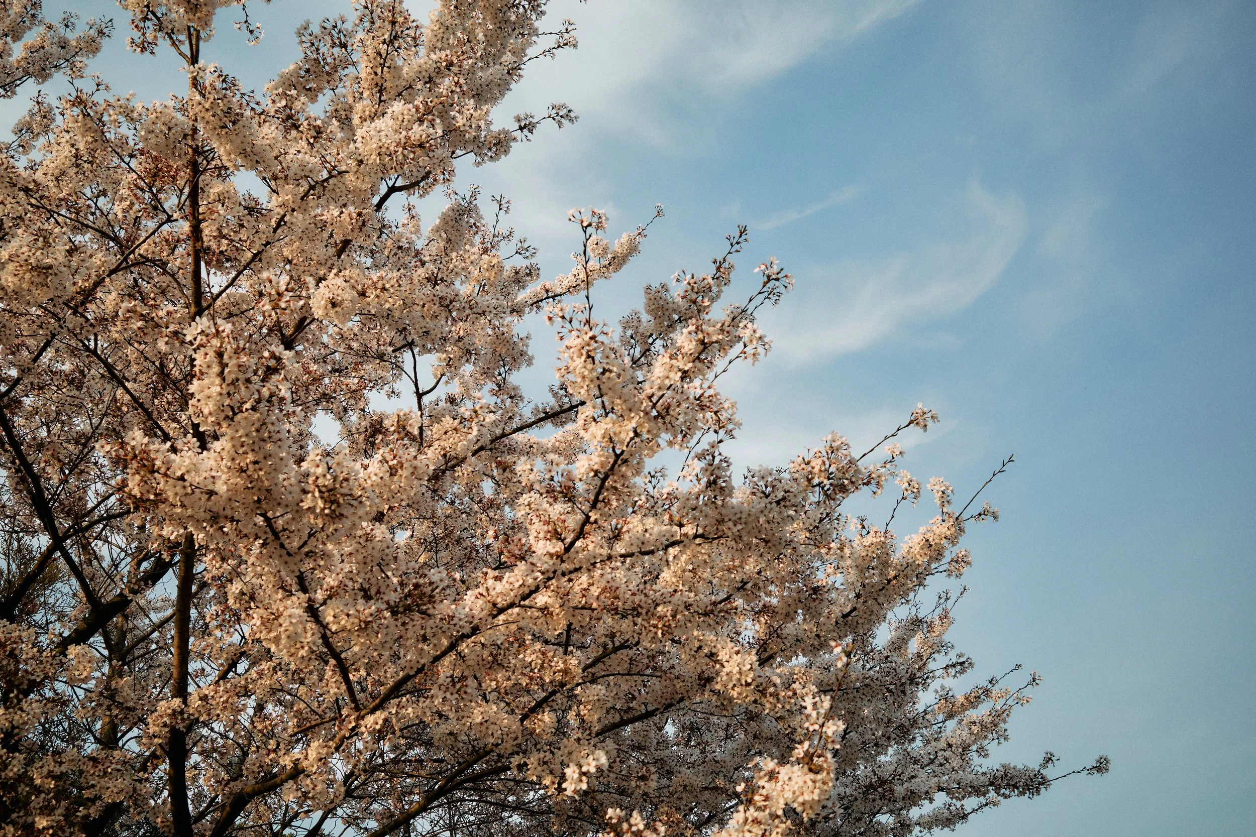 SOUTH KOREA 2023 49.jpg