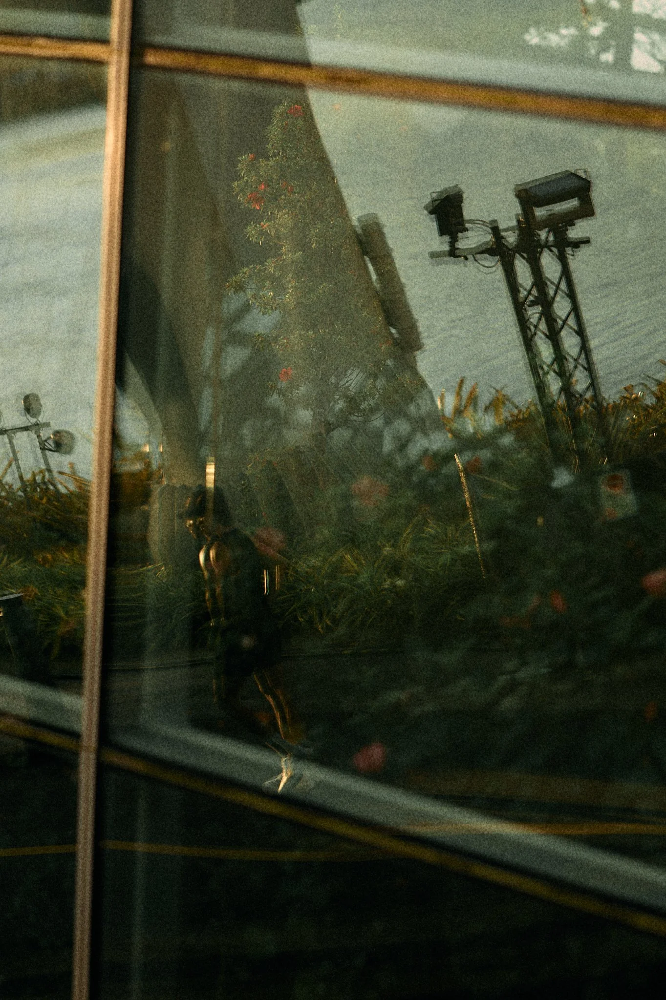 a reflection of a person in a glass window, with outdoor trees, a pole with lights, and a cloudy sky visible in the background