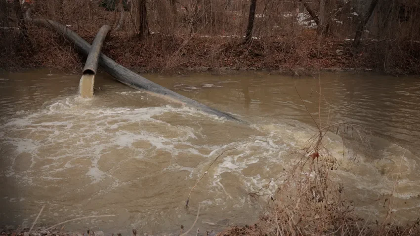 DC's mayor declares Potomac River sewage spill an emergency, seeks federal funds  - NBC4
