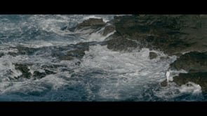 OCEAN LOVE By Skylark and the Scorpion