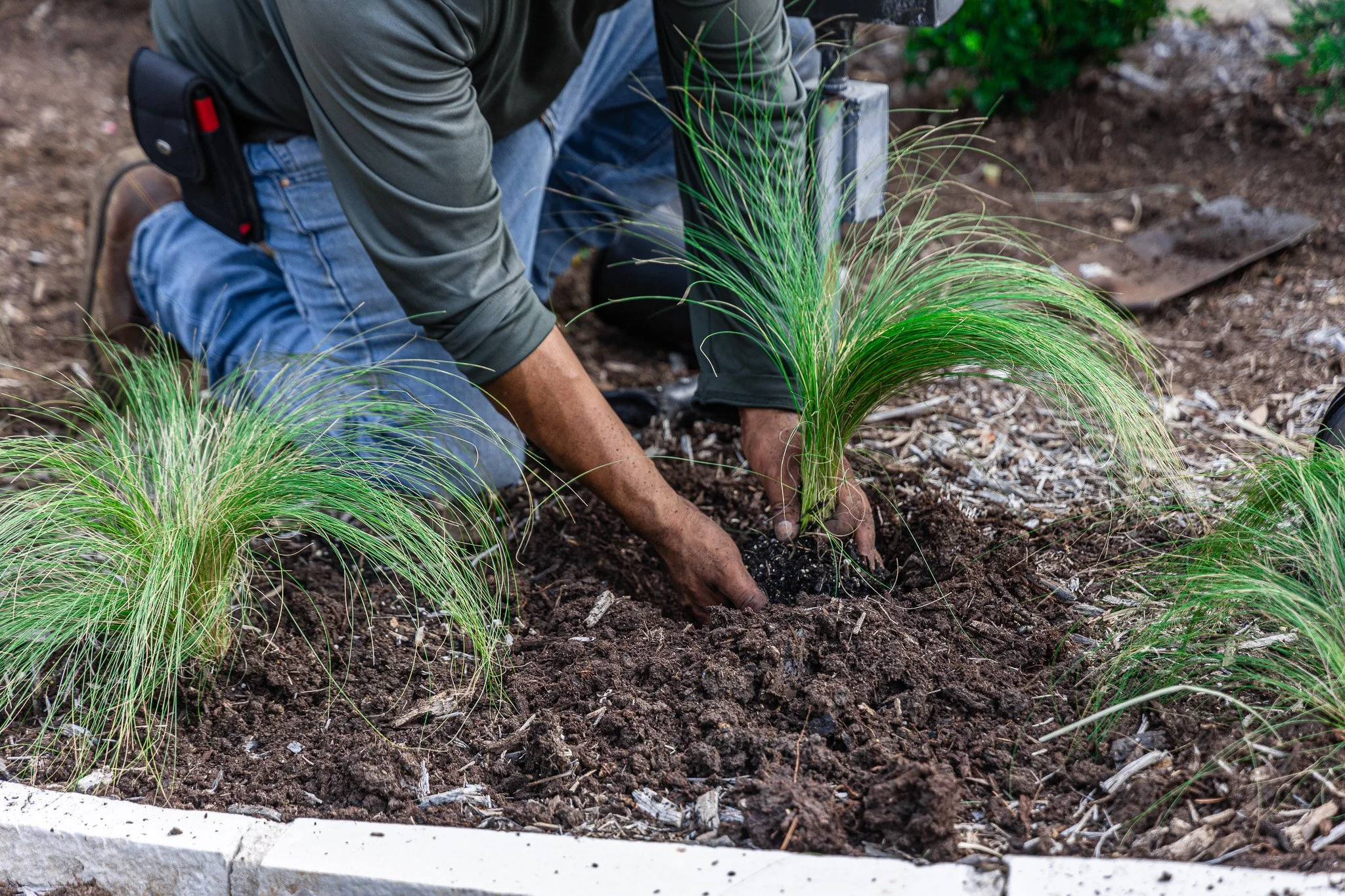 Is Your Lawn Ready for Spring?