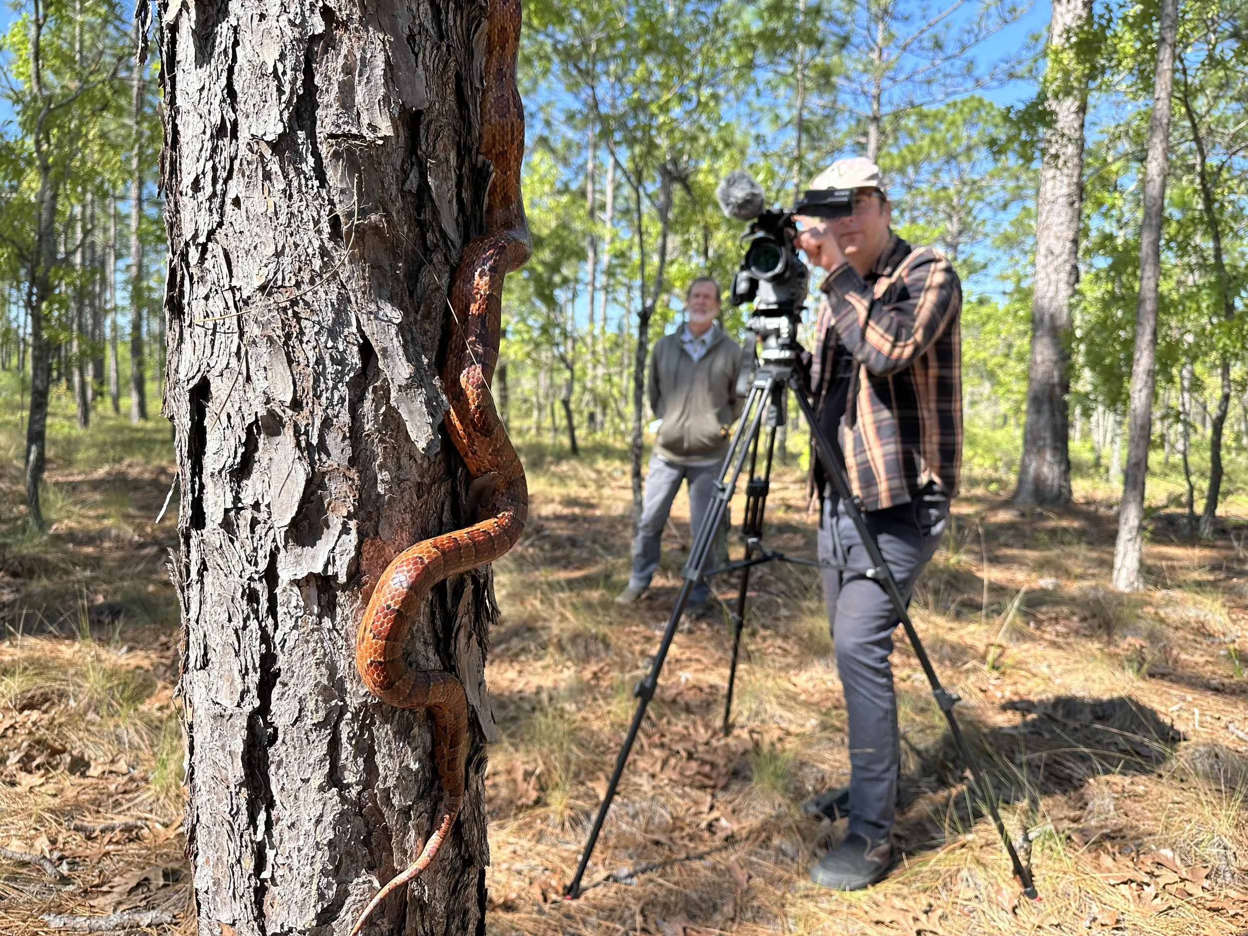shooting snakes.jpg