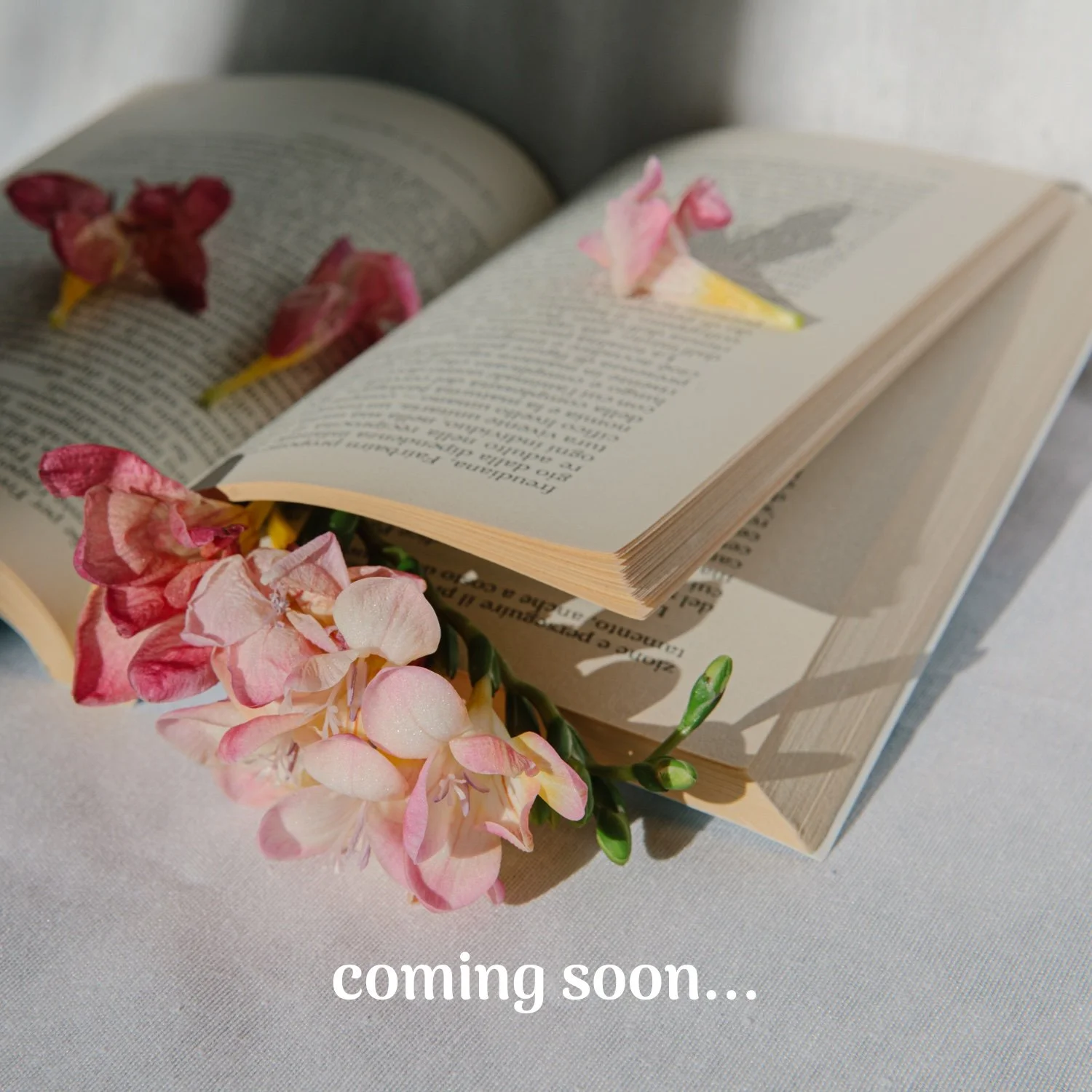 cg book coming soon....jpg