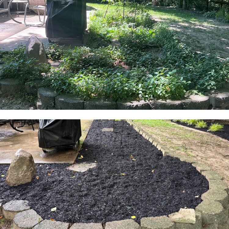 square before and after (2).png