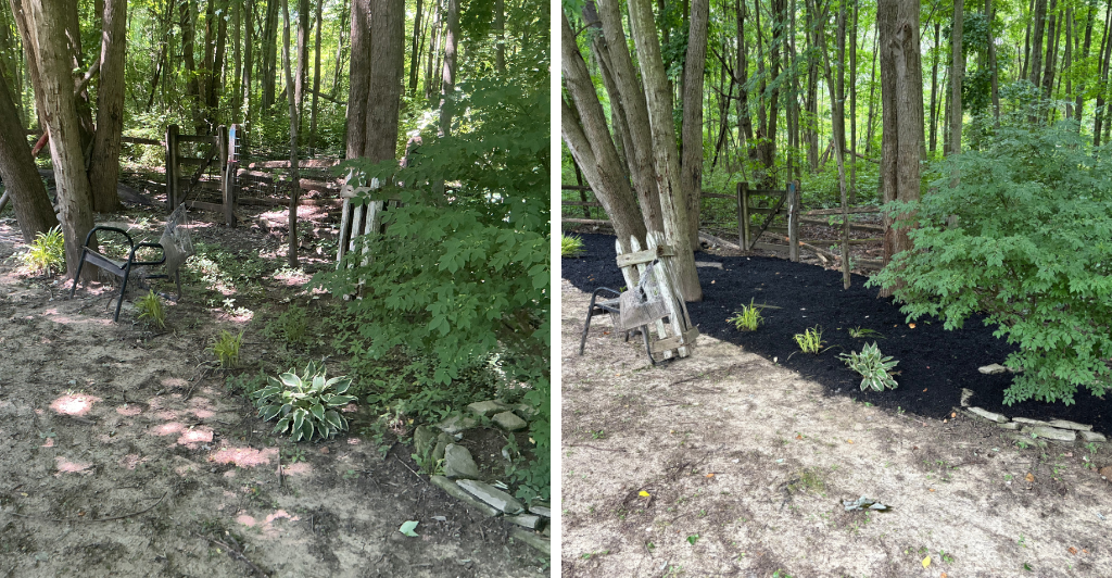 before and after side by side (2).png