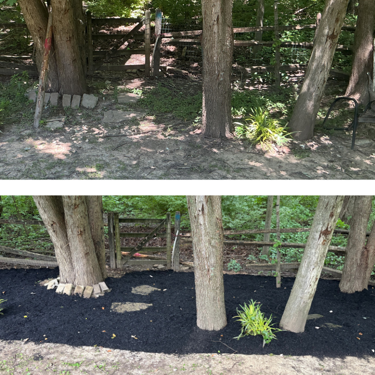 square before and after (1).png