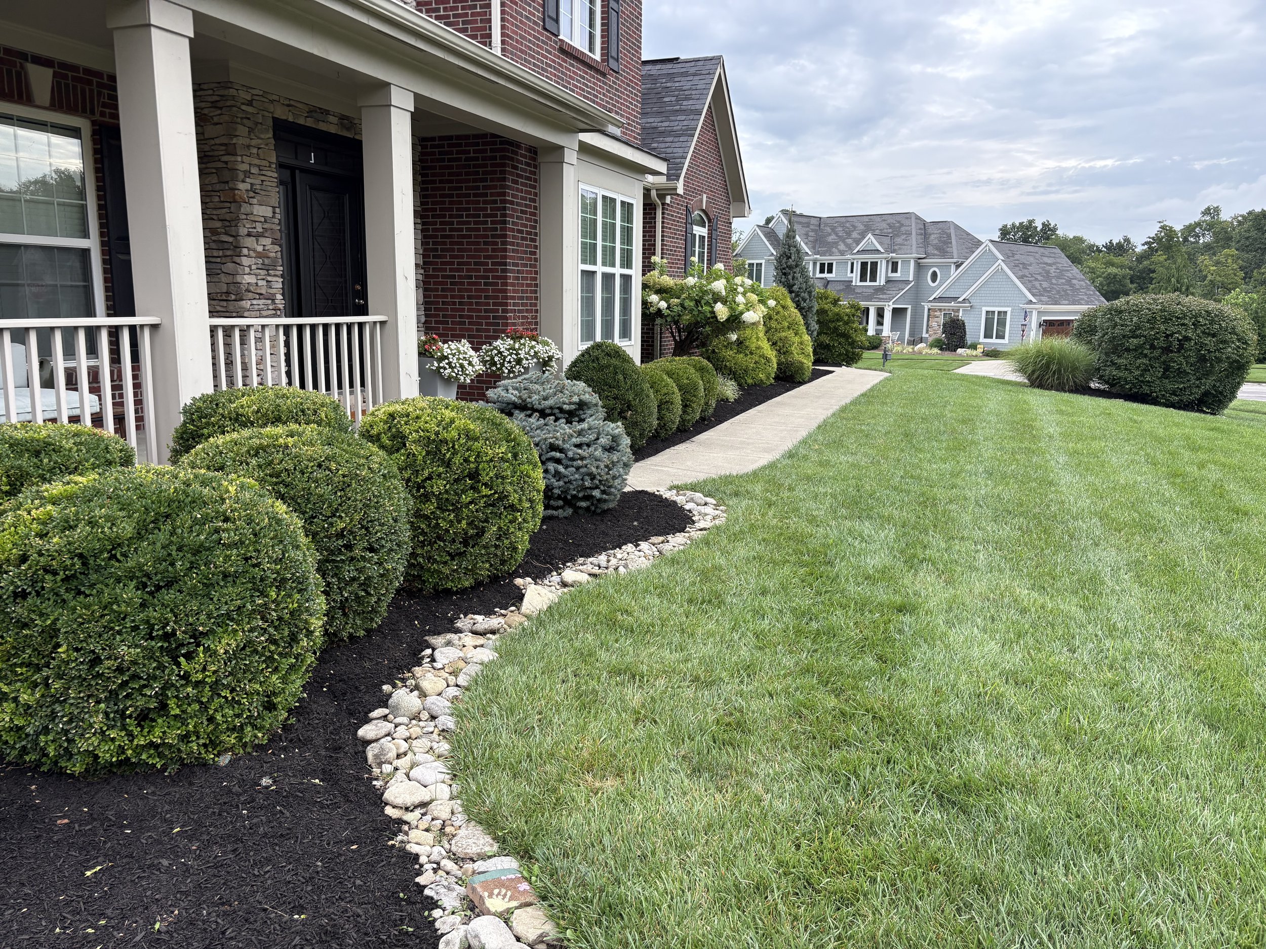A well-maintained front yard of a house, with a neatly trimmed lawn, a curved pathway lined with decorative rocks, and a flower bed with bushes and flowering plants near the house.
