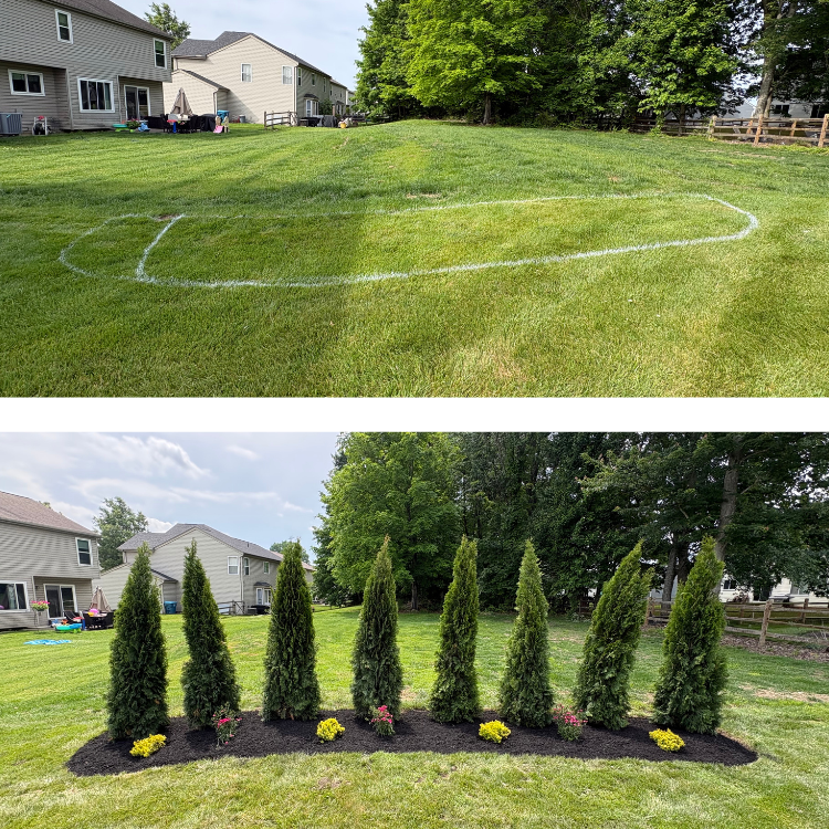 square before and after.png