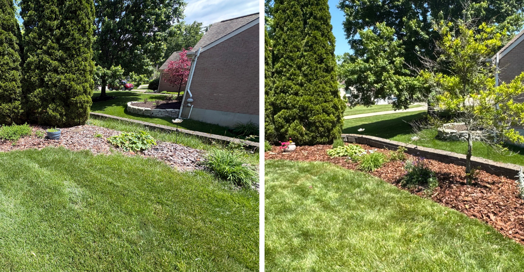 before and after side by side.png