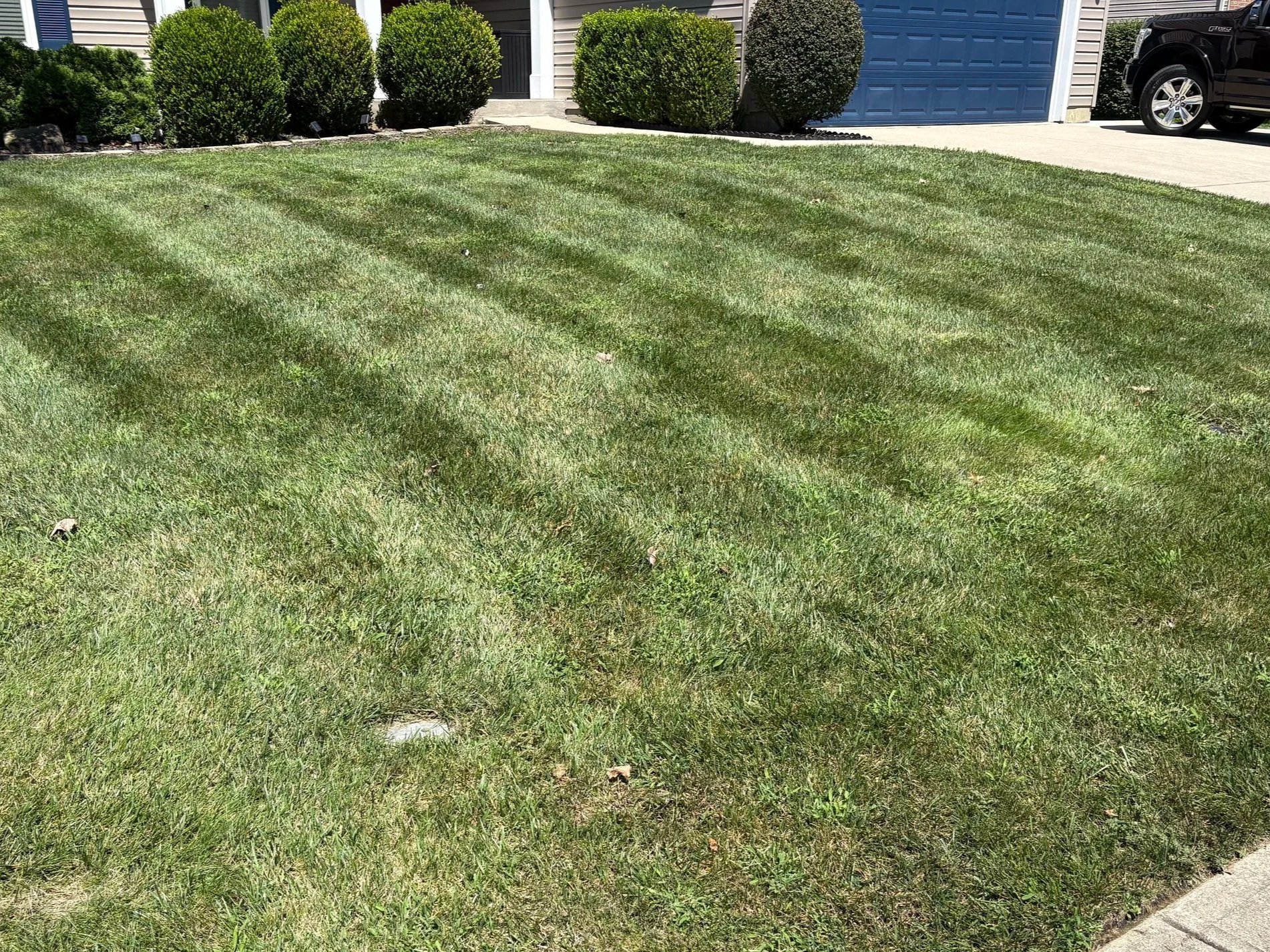 Lawn Mowing
