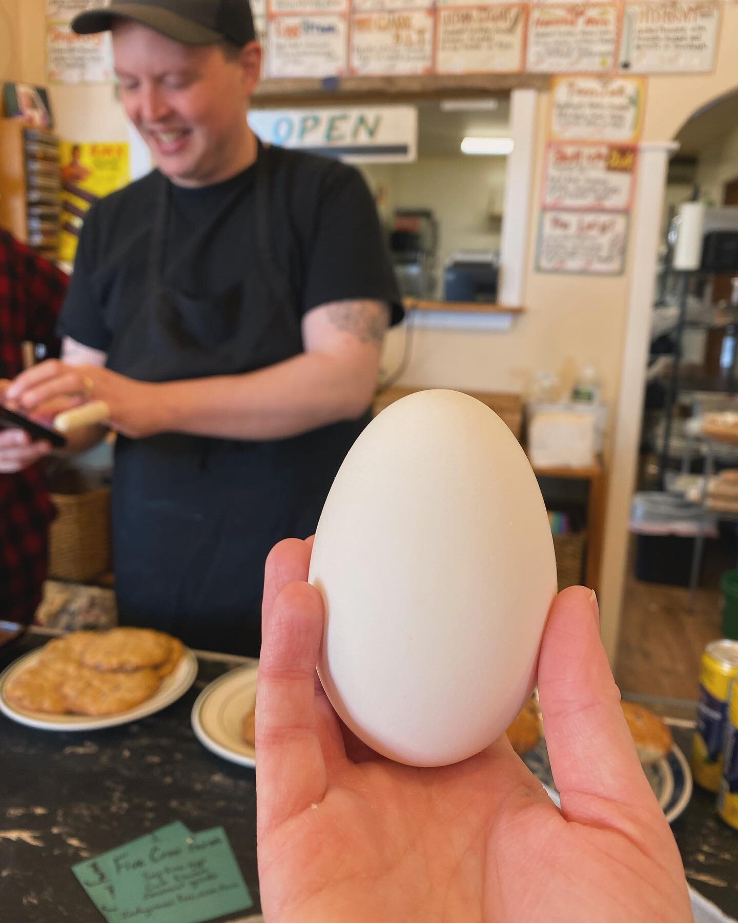 Our market dreams of accessible local agricultural products are coming true! We got deliveries from @five_crow_farm, @goransonfarm, and @cozycovemicrobloomery! And guess what?! We&rsquo;re starting the Damariscotta farm drop right here at Fernalds in