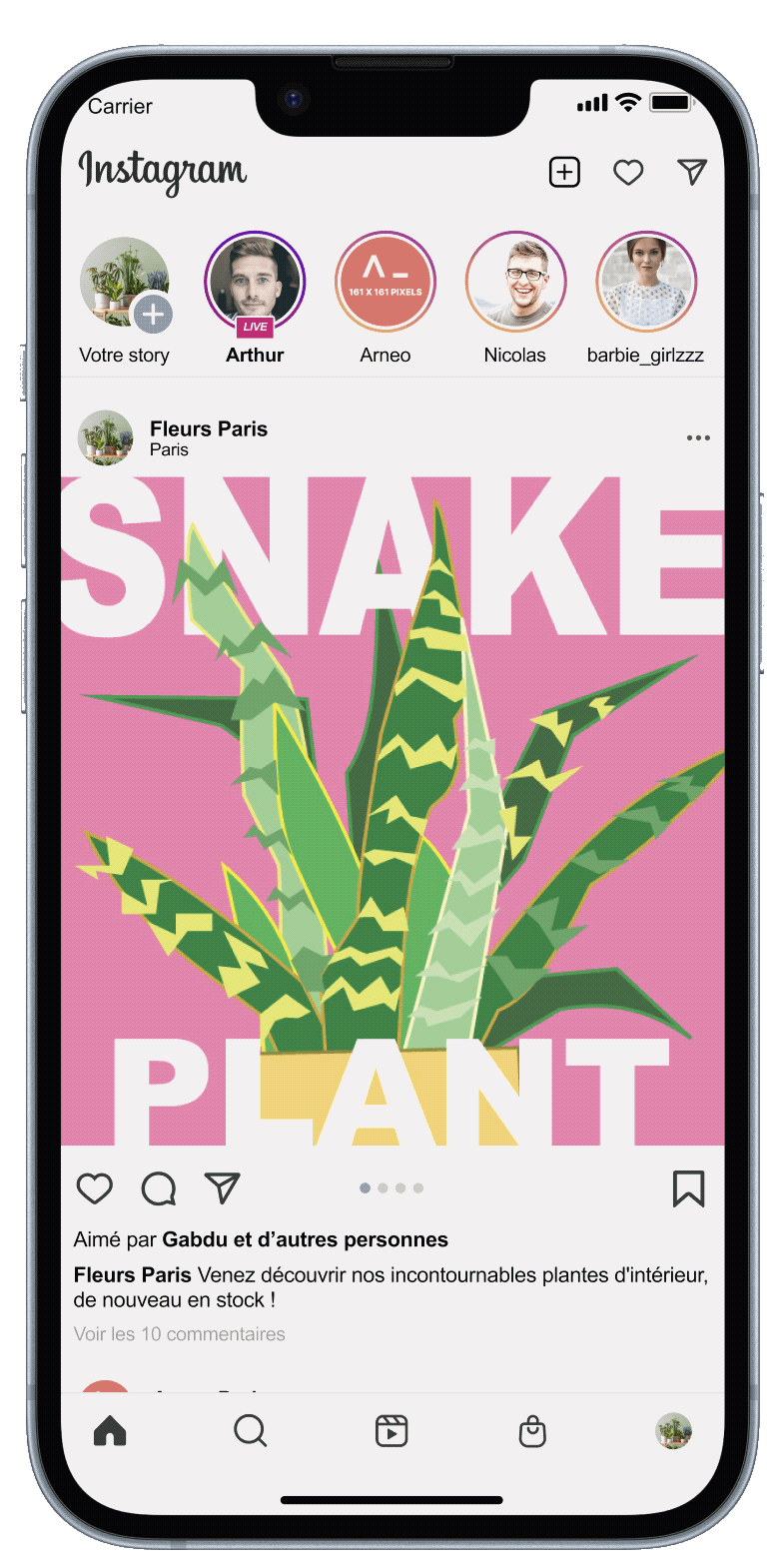 instamockplant.gif