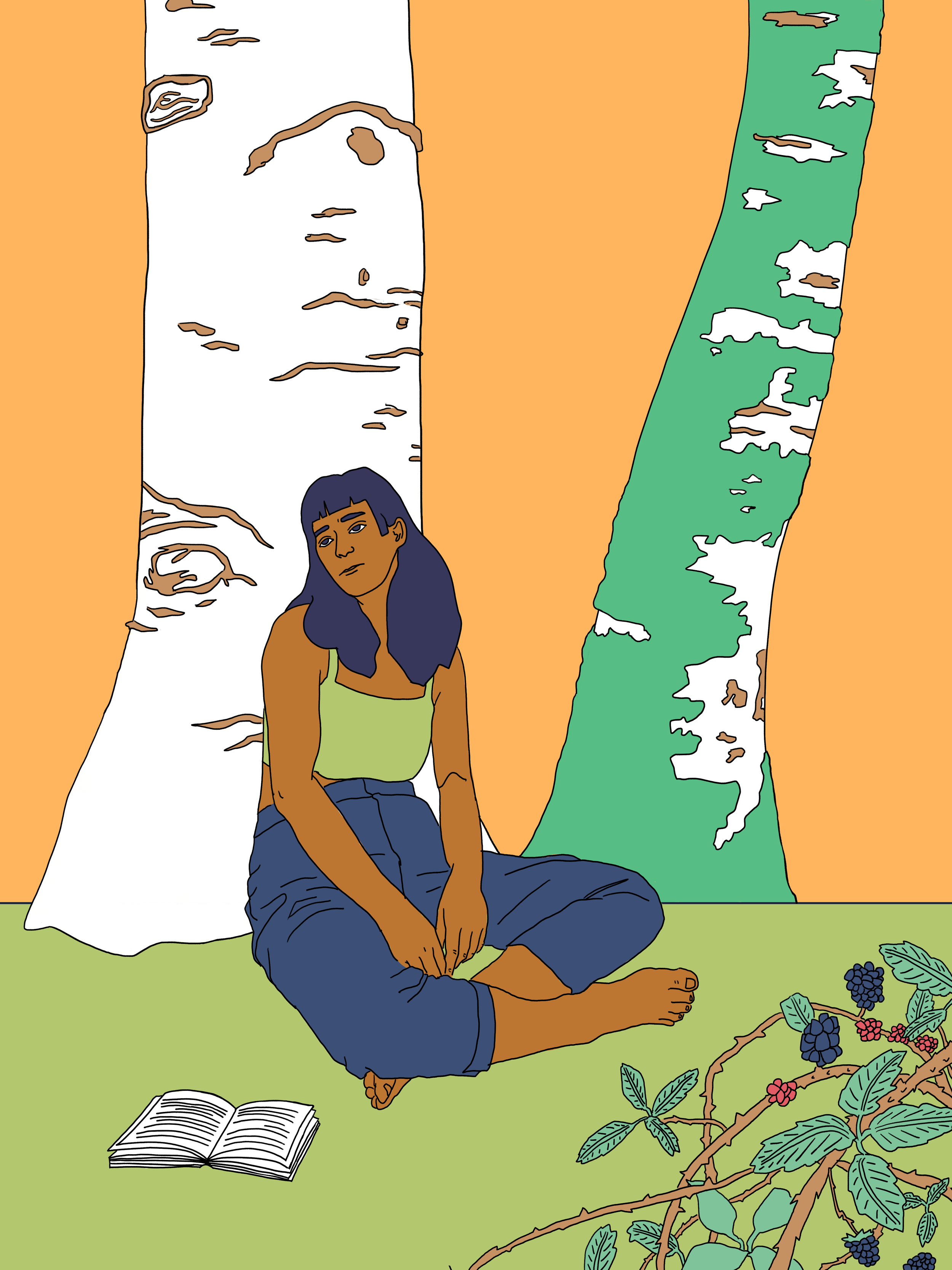 shade tree2.png