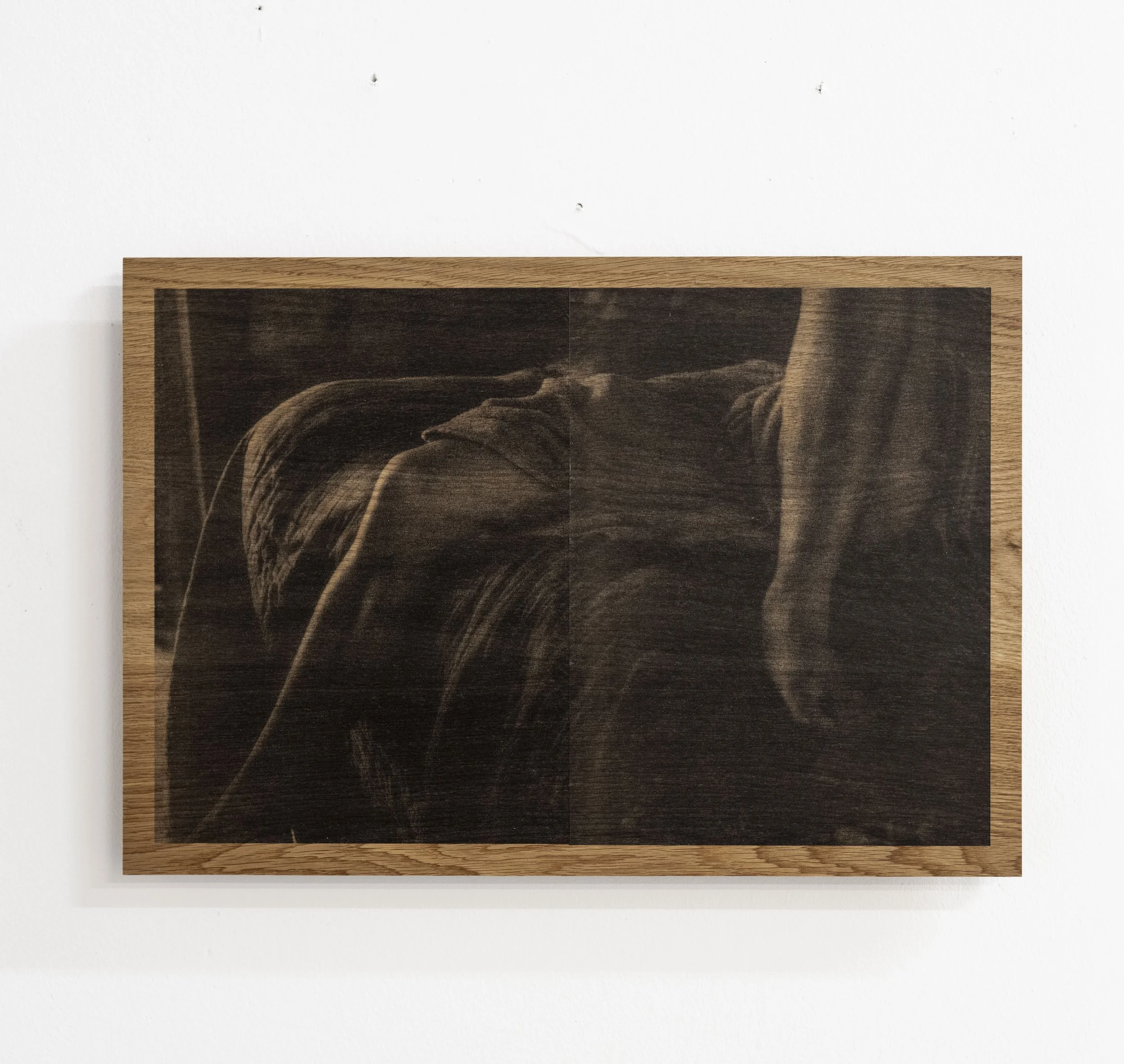 NO 6. Houtprint 58x45 €440