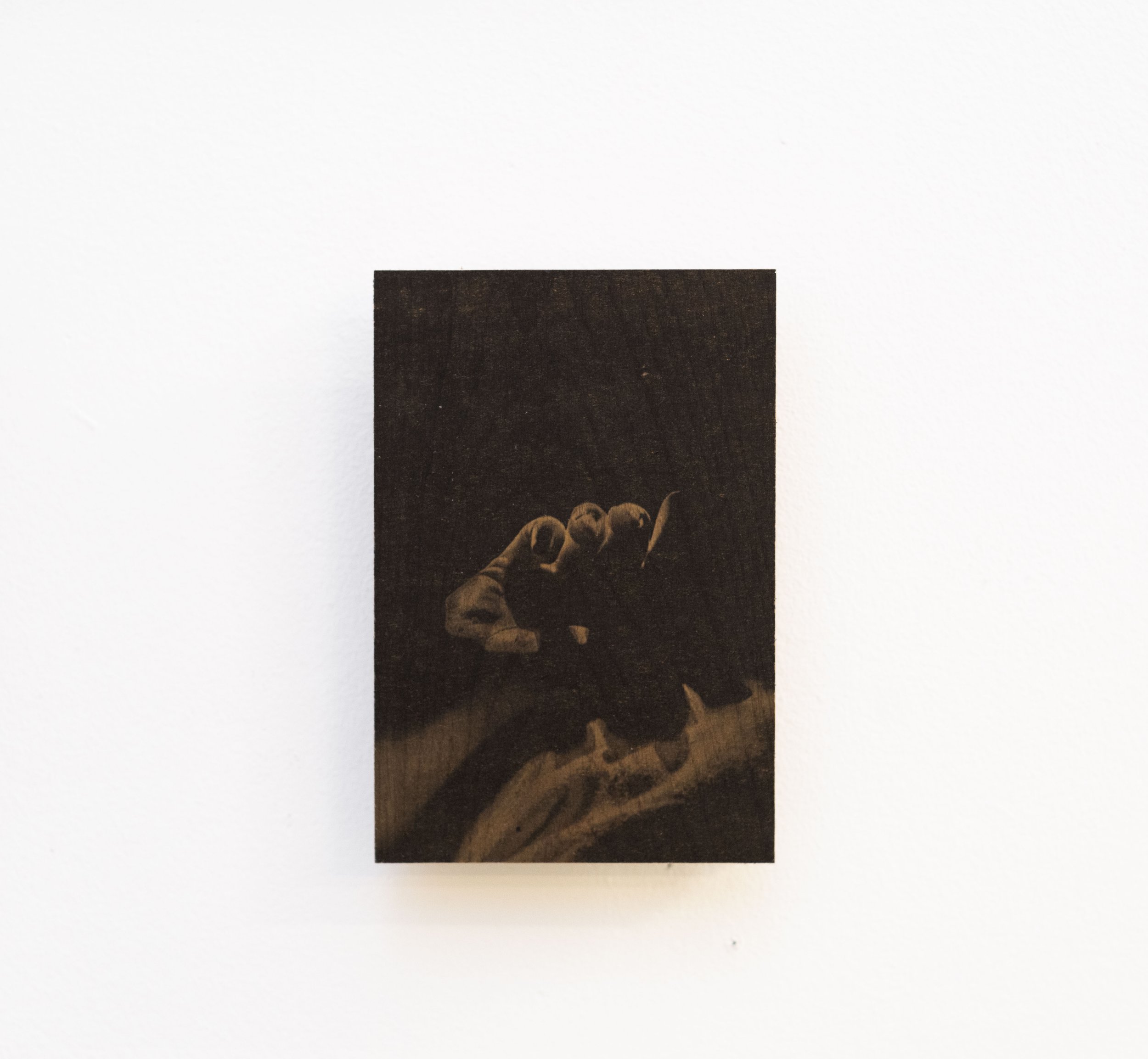 NO 11. Houtprint 19x15 €245 