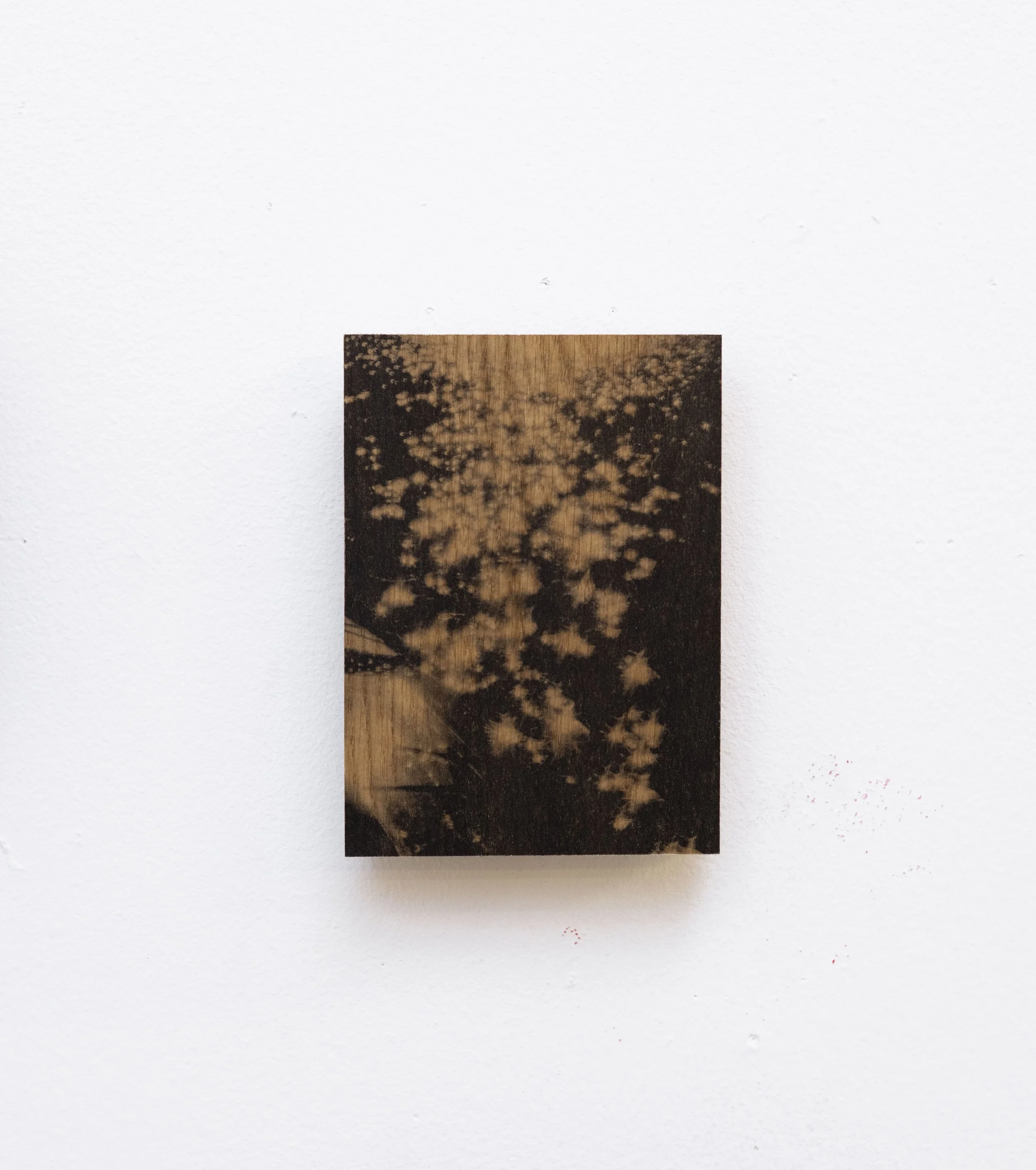 NO 7. Houtprint 14x18 €240